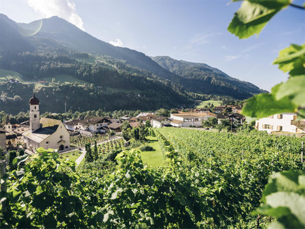 Get to know the wines of the winery "Passir" St.Martin in Passeier/San Martino in Passiria 2 suedtirol.info