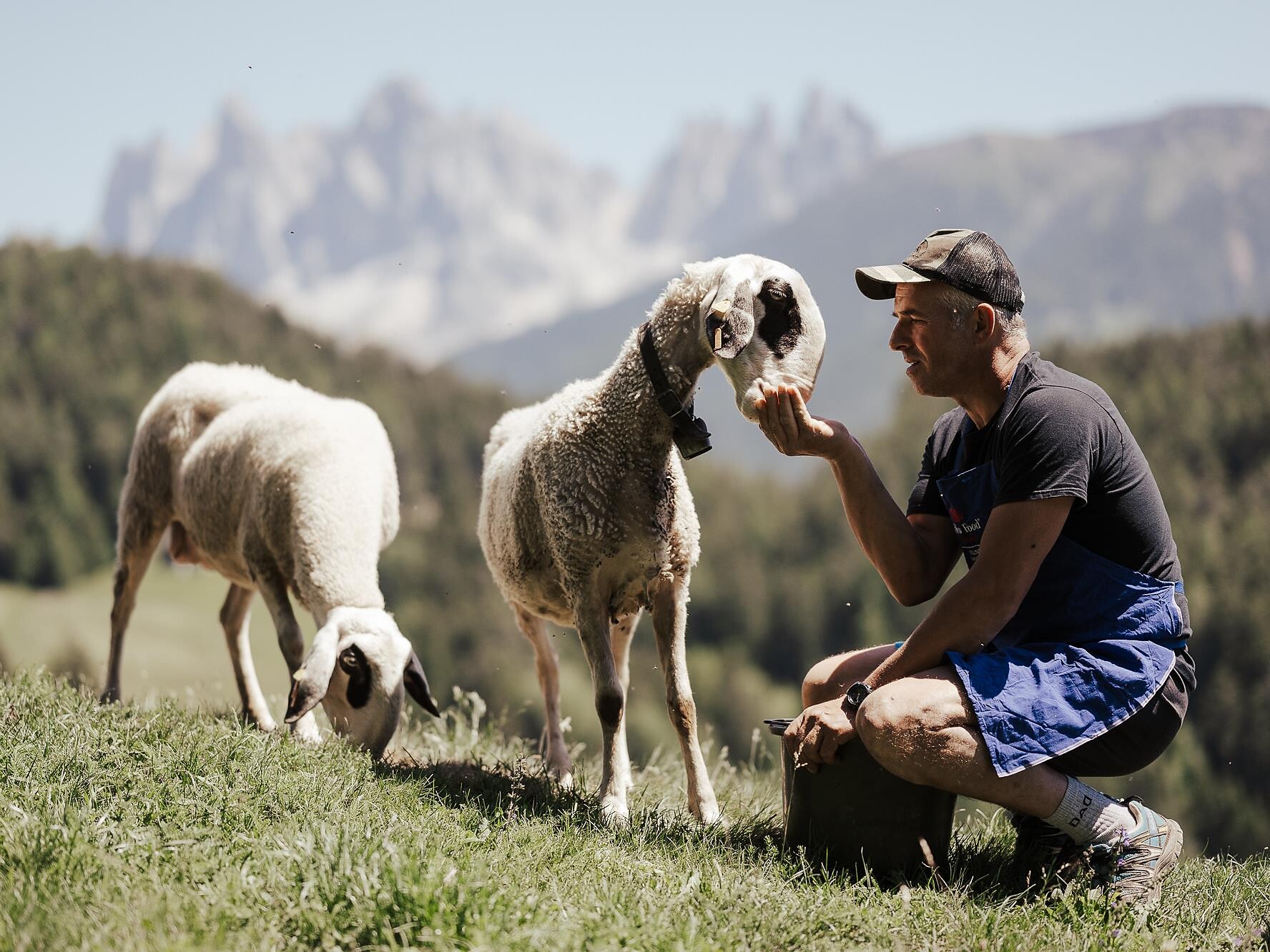 Settimane gastronomiche - Specialità d’Agnello Funes 1 suedtirol.info