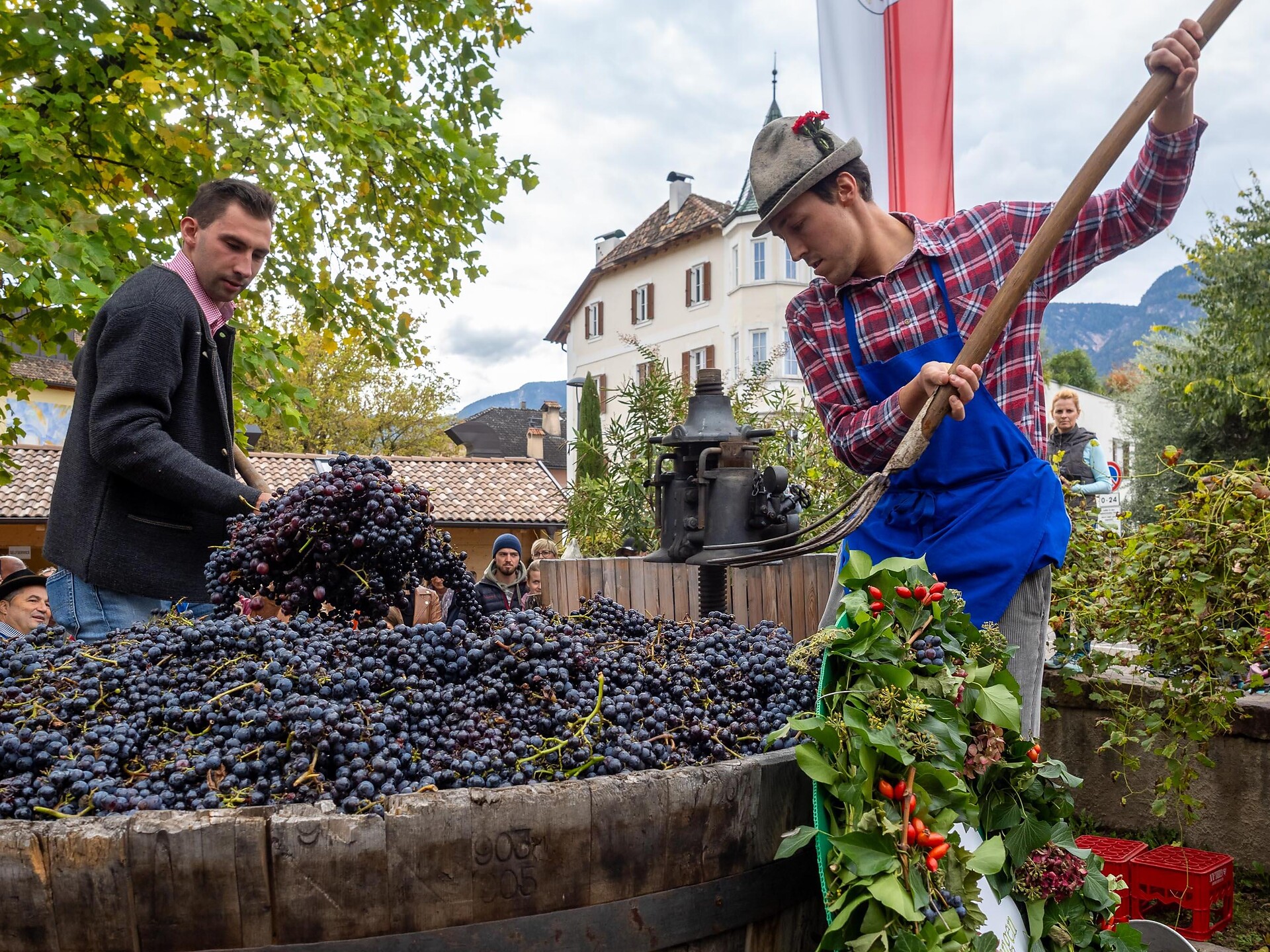 L'ultimo carico d'uva - Strada del Vino - #2 - suedtirol.info