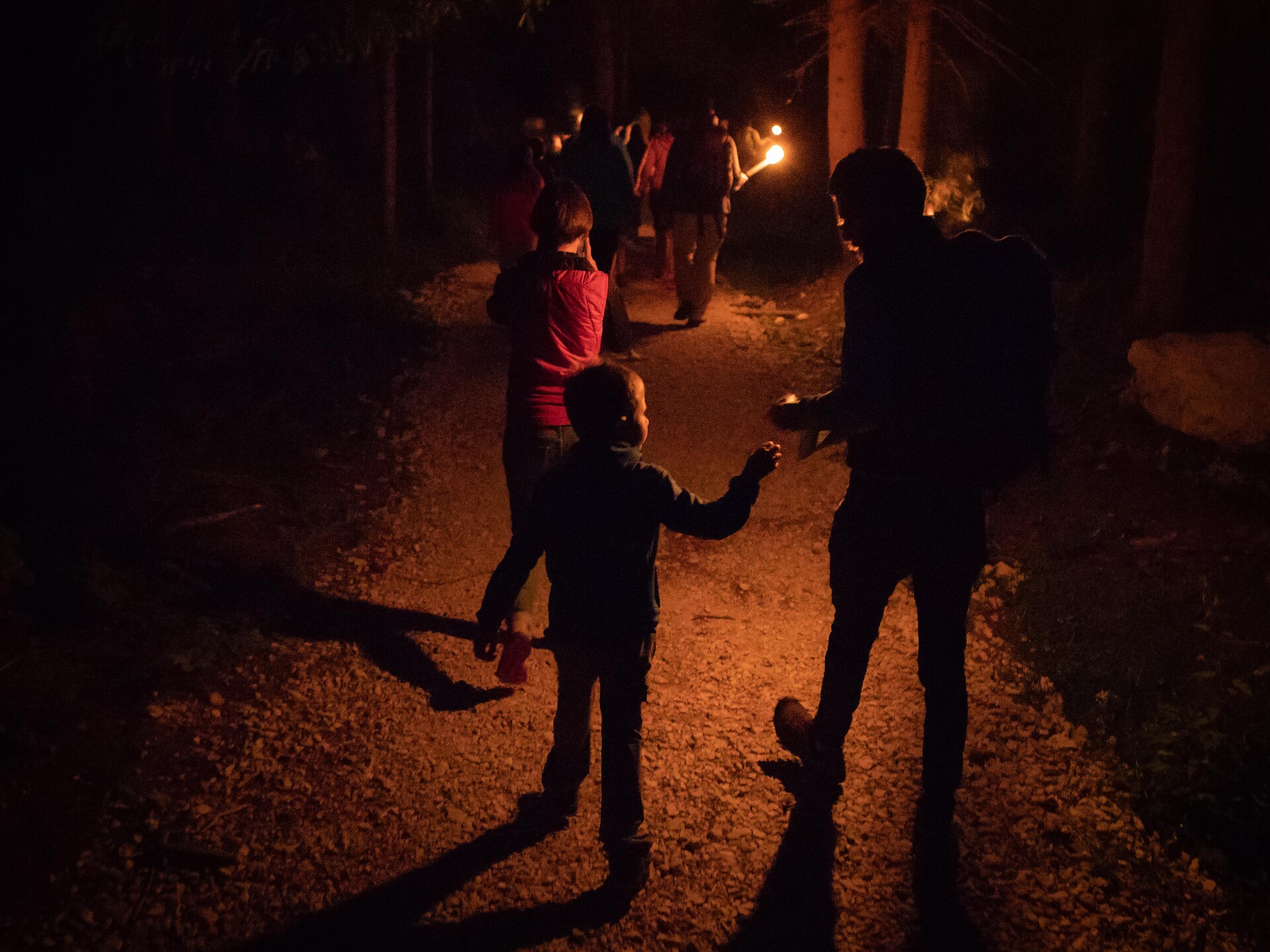 Guided torchlight hike with campfire, homemade mulled mix and refreshments - Dolomites Region Eggental - #1 - suedtirol.info
