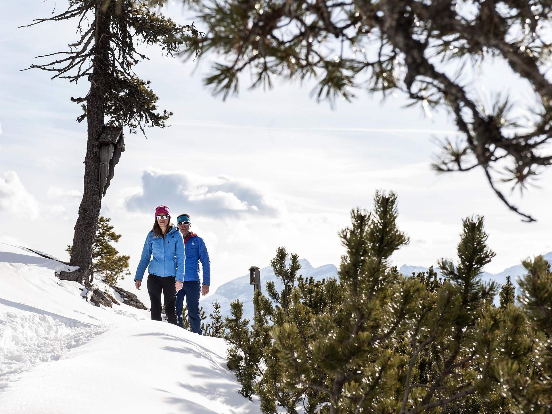 Escursione nella quiete del bosco - Regione dolomitica Alta Badia - #2 - suedtirol.info