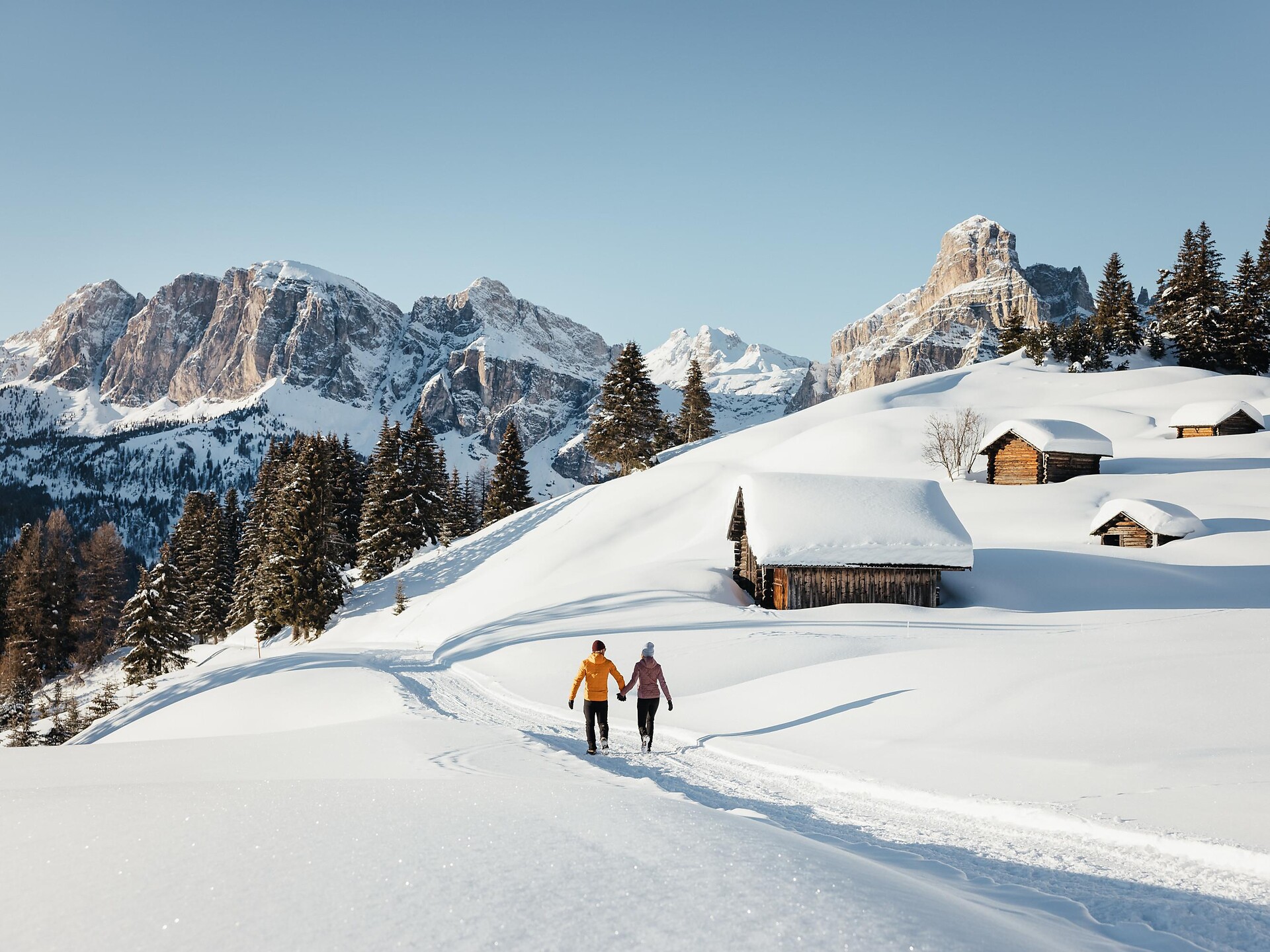 Escursione nella quiete del bosco - Regione dolomitica Alta Badia - #1 - suedtirol.info