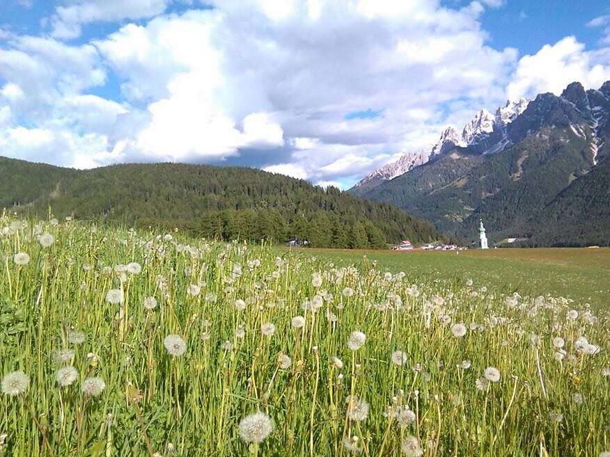 Lanz Active - „Ausblick auf Toblach“ vom Ratsberg mit Bauernhofbesichtigung - Dolomitenregion 3 Zinnen - #1 - suedtirol.info