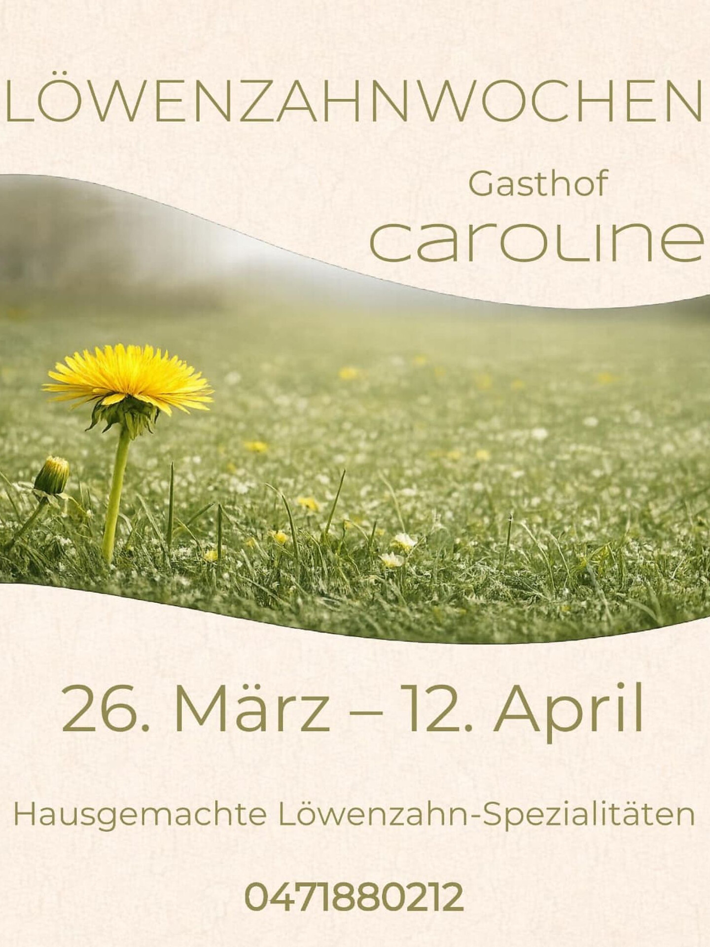 Dandelion weeks - Alto Adige Wine Road - #1 - suedtirol.info