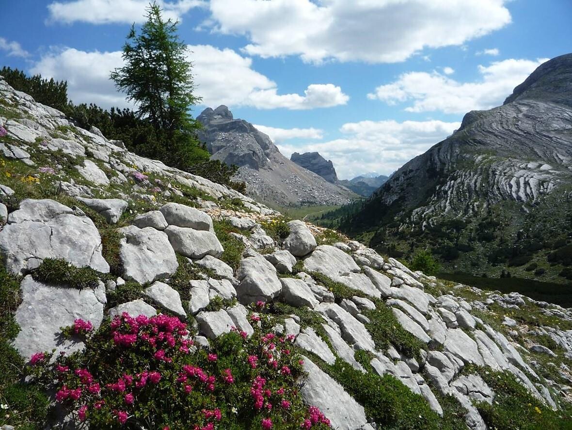 Lanz Active - Dai prati Kameriot all’Allwartstein „Le leggende delle Dolomiti“ - Regione dolomitica 3 Cime - #1 - suedtirol.info