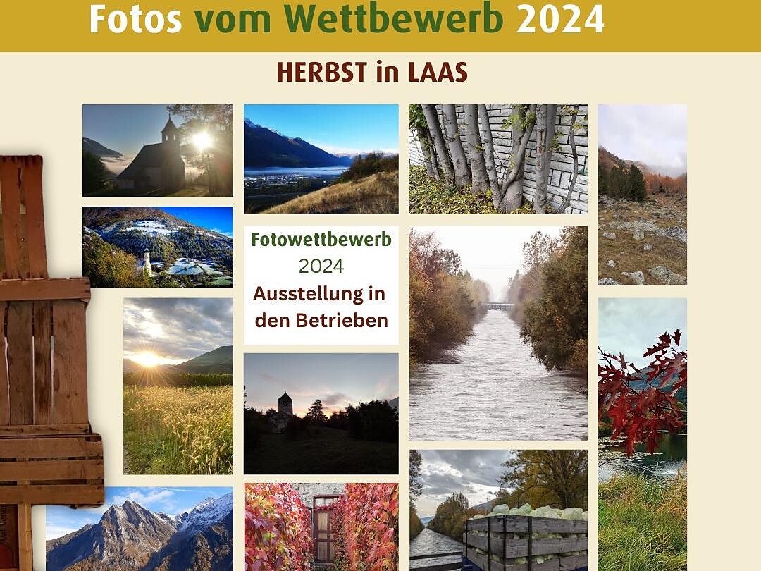 Lasa cabbage weeks - Vinschgau/Val Venosta - #3 - suedtirol.info