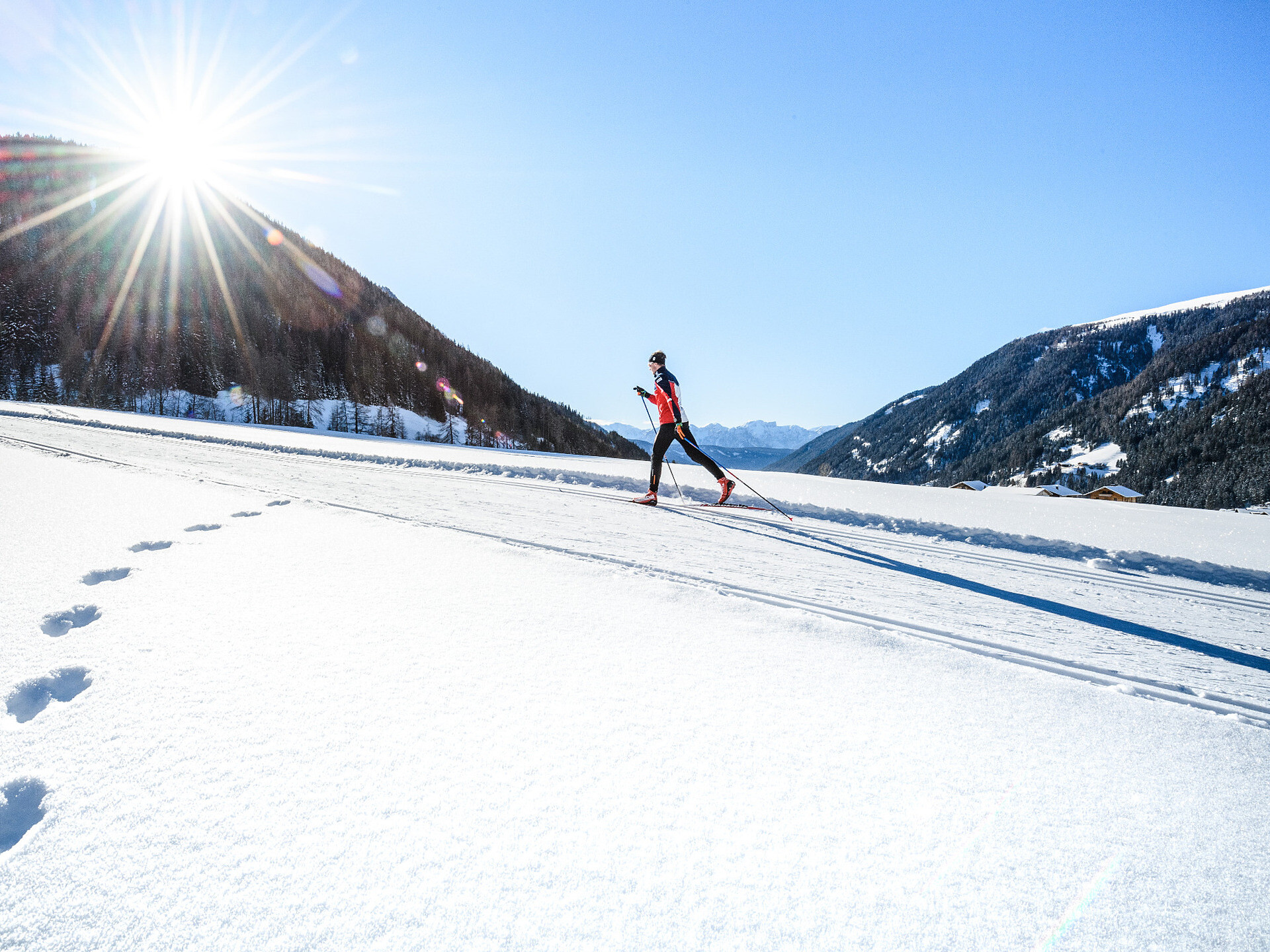 Sci di fondo classico: affinare la tecnica sulle piste da fondo della Val Casies -  - #1 - suedtirol.info