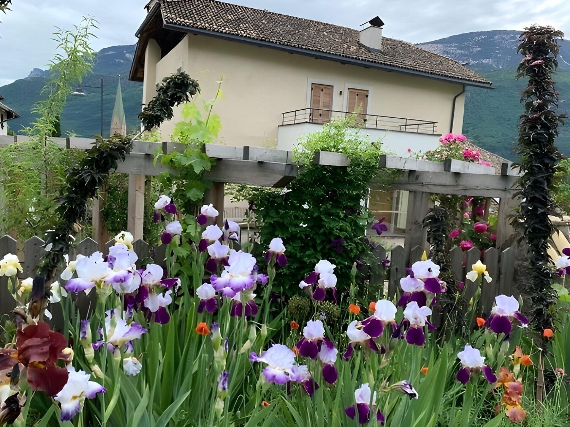Liebe, Lust und Leidenschaft aus dem Garten - Gartenliebe Andrian & Terlan 2026 - Südtiroler Weinstraße - #2 - suedtirol.info