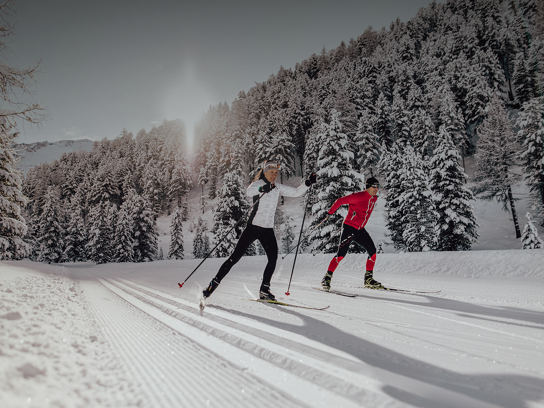 Cross-Country Skiing Course for Beginners in the Snowy Langtaufers Valley - Vinschgau/Val Venosta - #1 - suedtirol.info