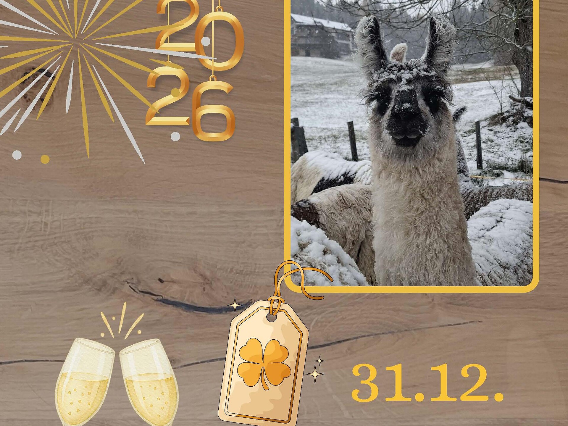 Lama - & Alpakatrekking Goodbye 2025 - Bolzano/Bozen and environs - #1 - suedtirol.info