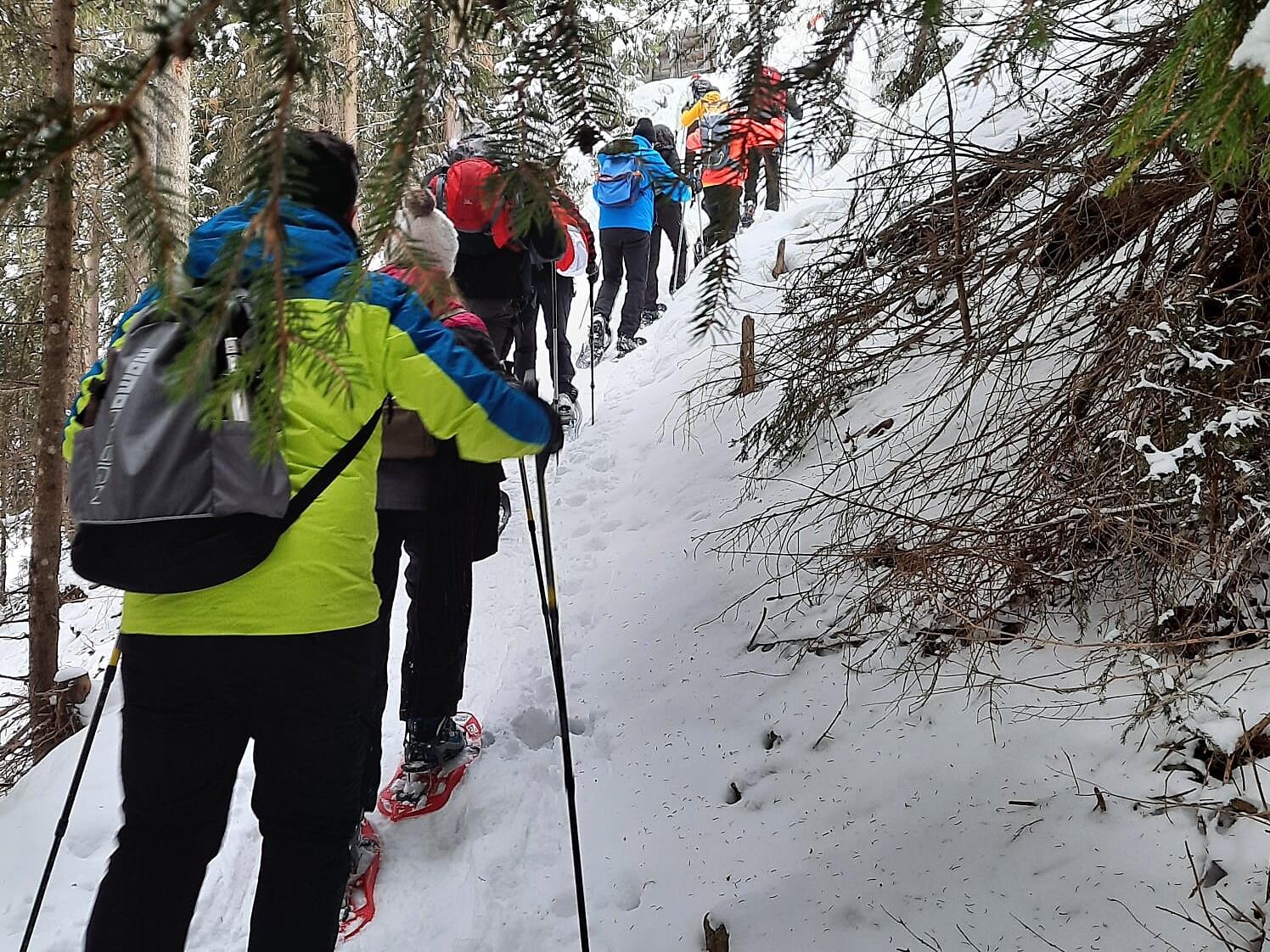 Facile escursione con le ciaspole in Val Casies: in relax attraverso la natura Valle di Casies 1 suedtirol.info