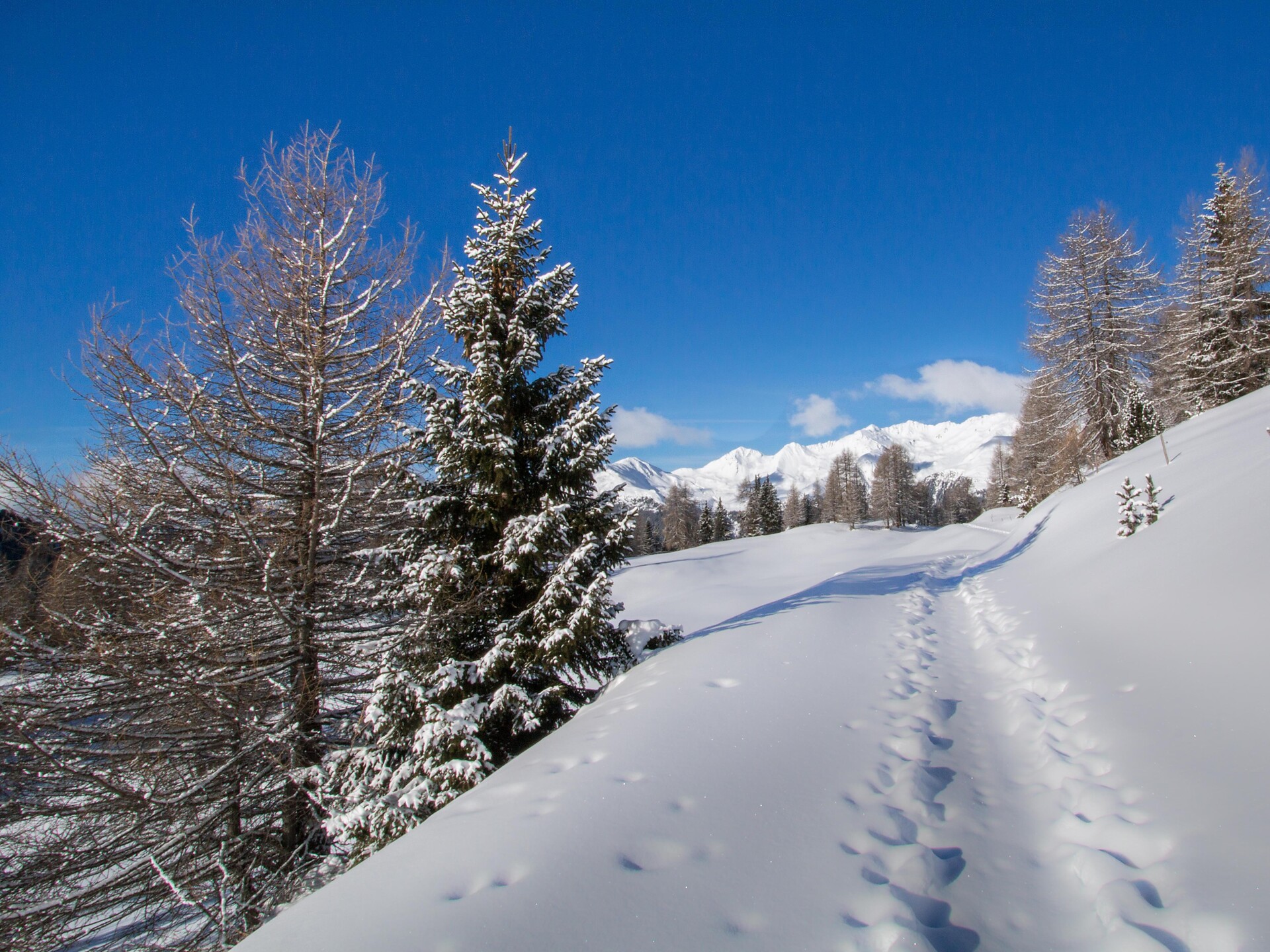 Facile escursione con le ciaspole in Val Casies: in relax attraverso la natura Valle di Casies 3 suedtirol.info