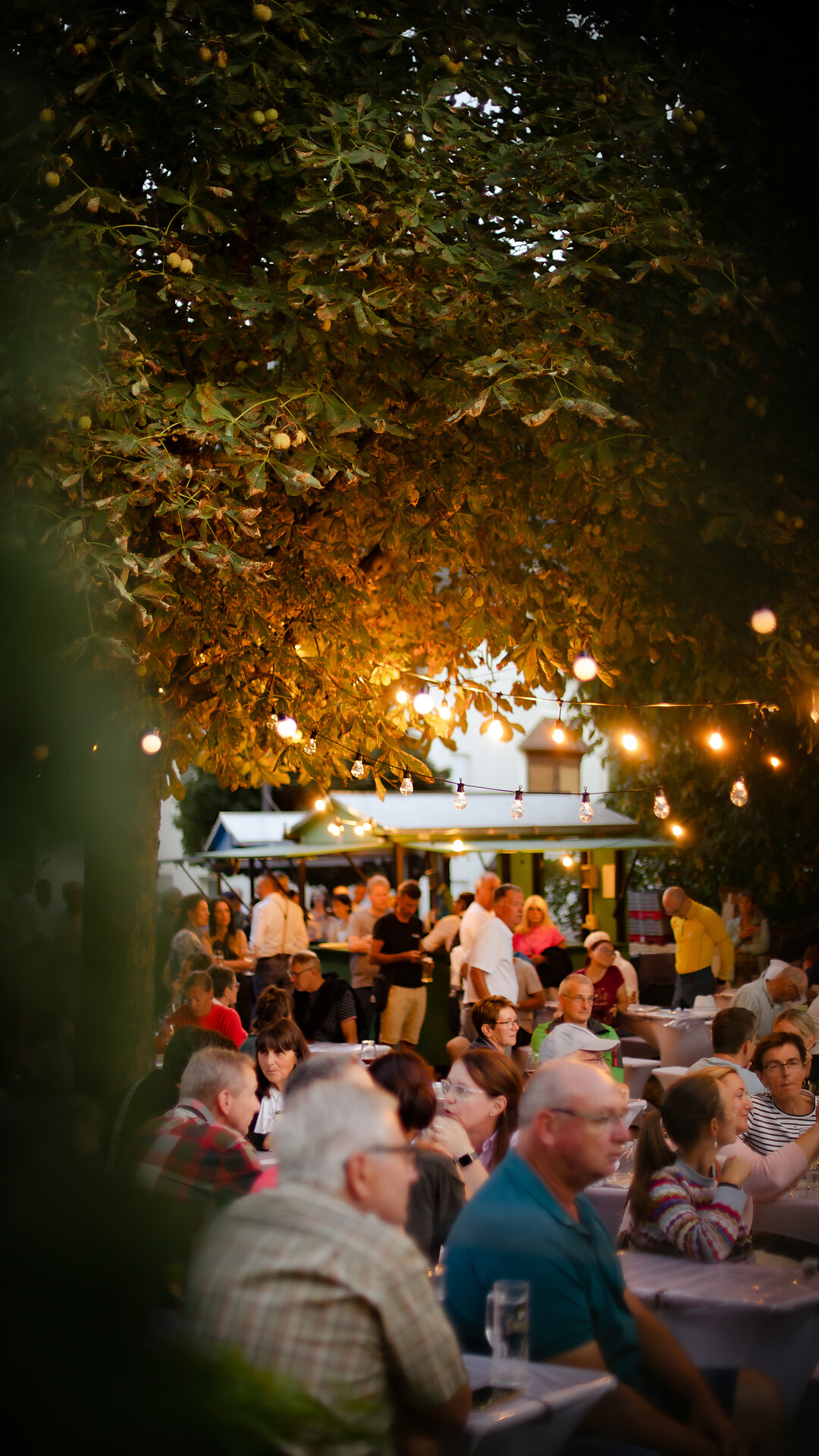 Last Summer Glow - Merano e dintorni - #3 - suedtirol.info