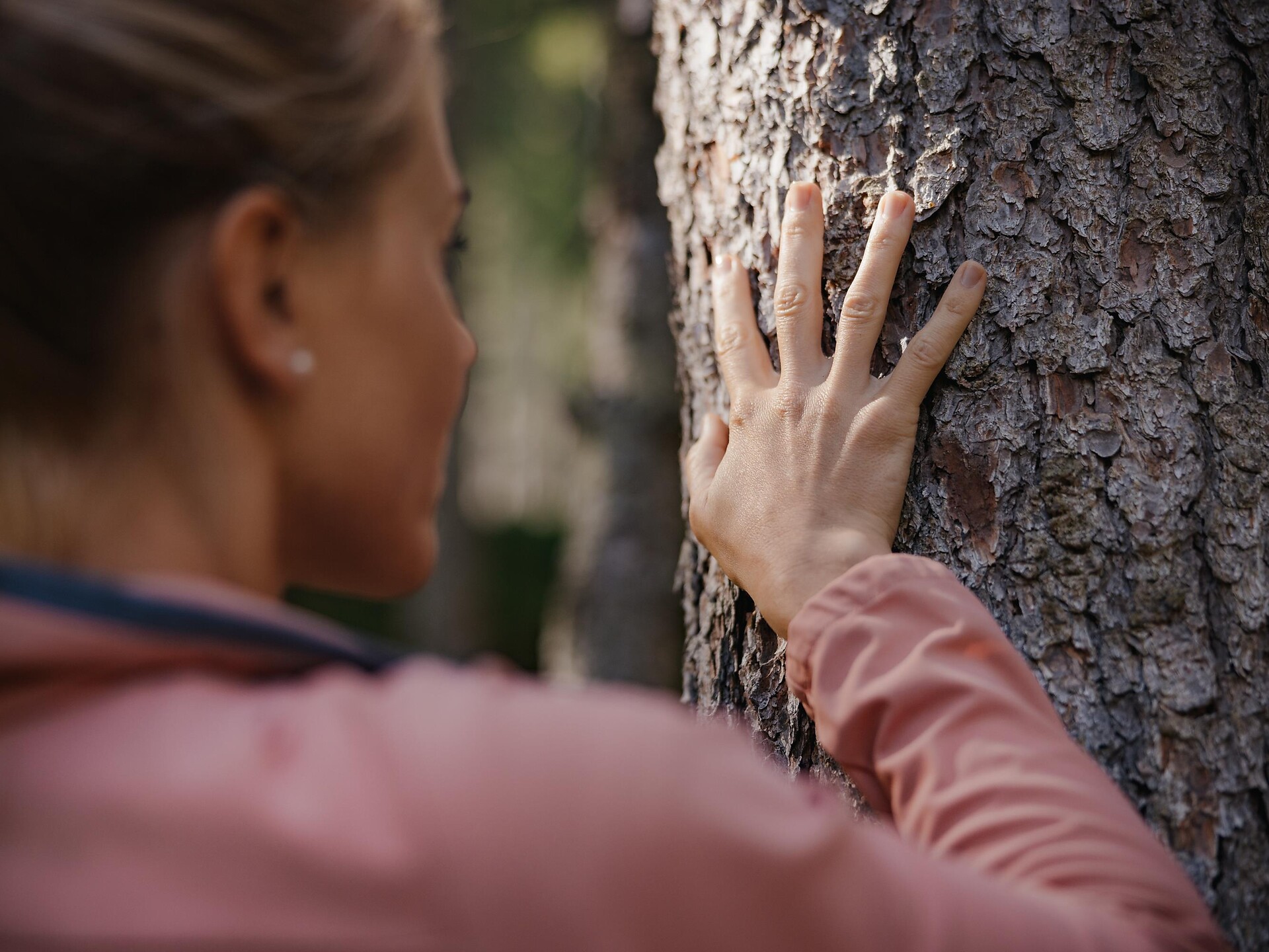 Let’s plant a tree together - Dolomites Region Alta Badia - #1 - suedtirol.info