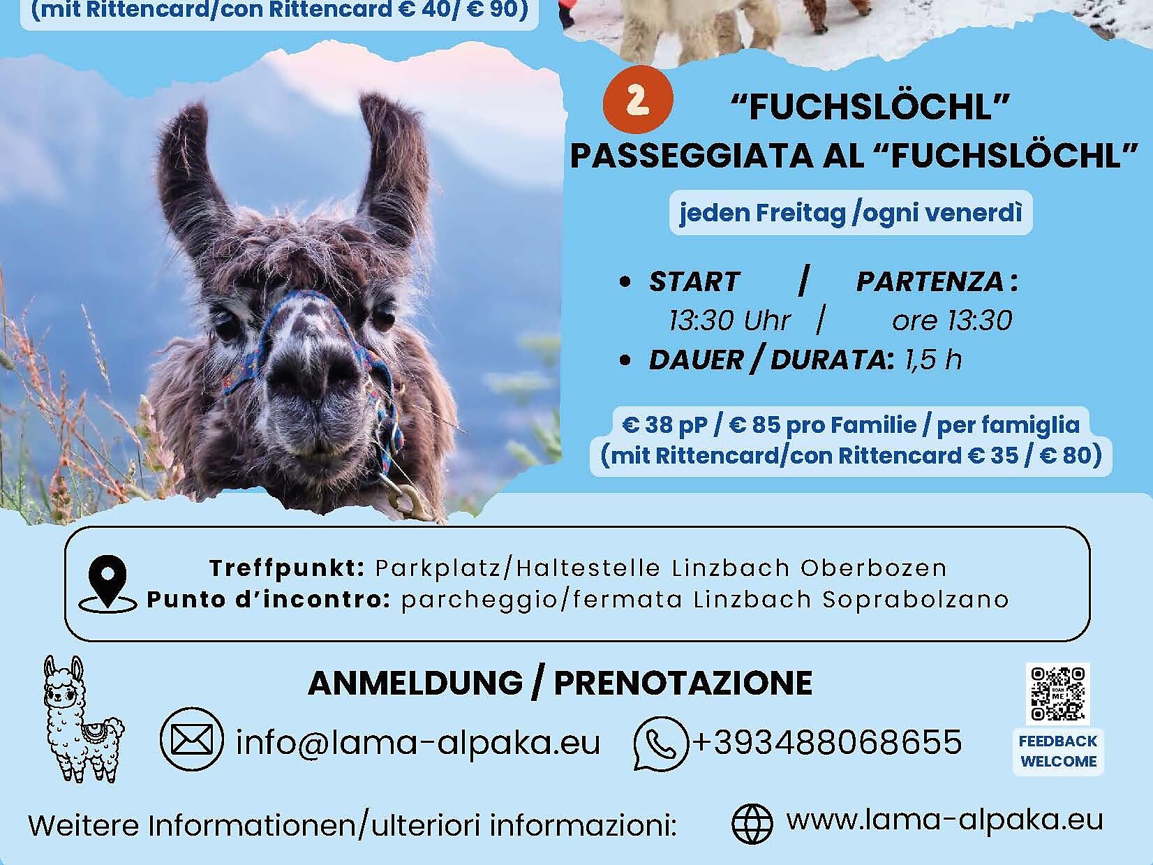 Guided Lama - & Alpakatrekking to the Fuchslöchl - Bolzano/Bozen and environs - #1 - suedtirol.info