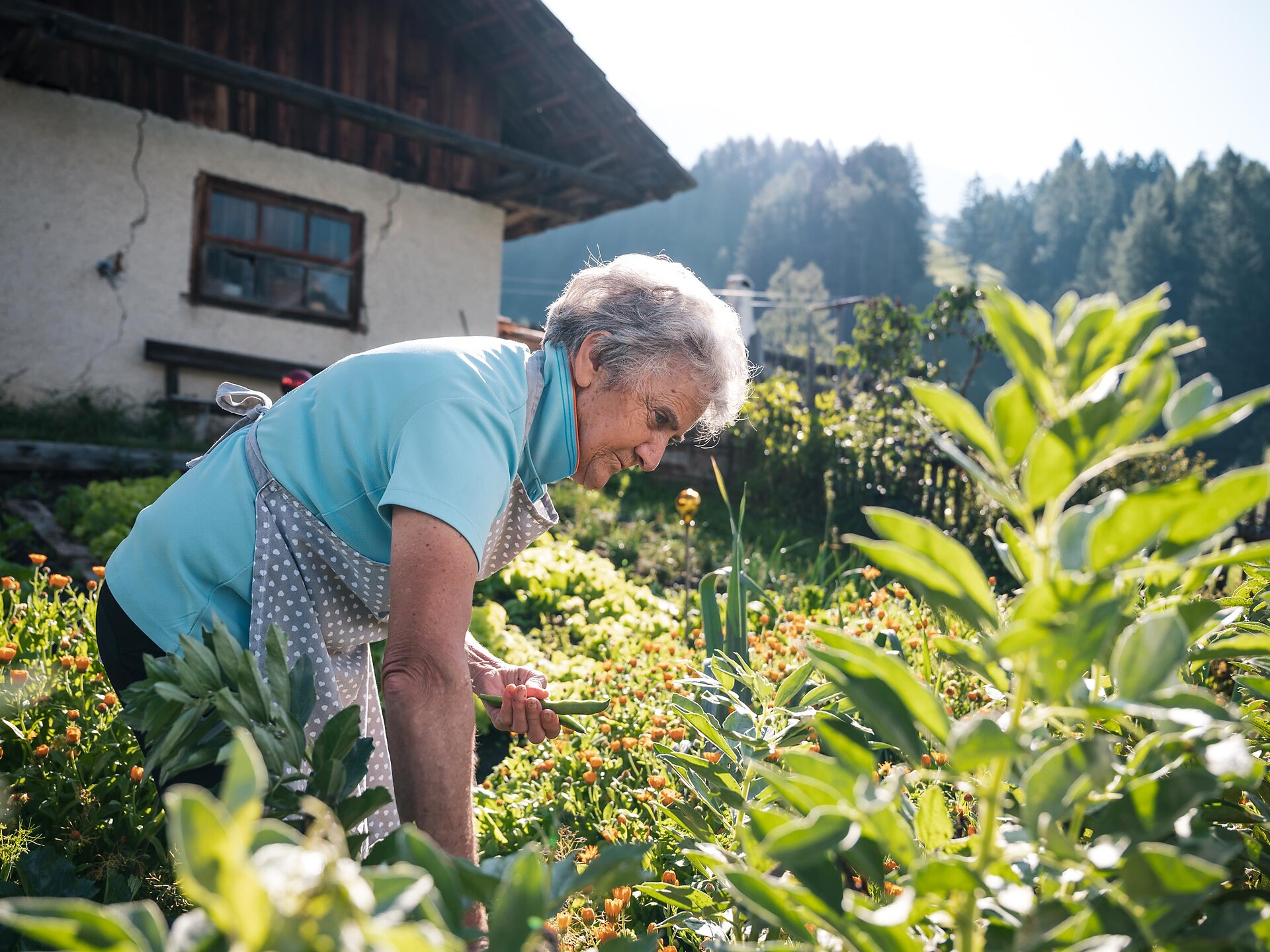 Le lüch te paisc - Vom Hof ins Dorf Corvara 2 suedtirol.info
