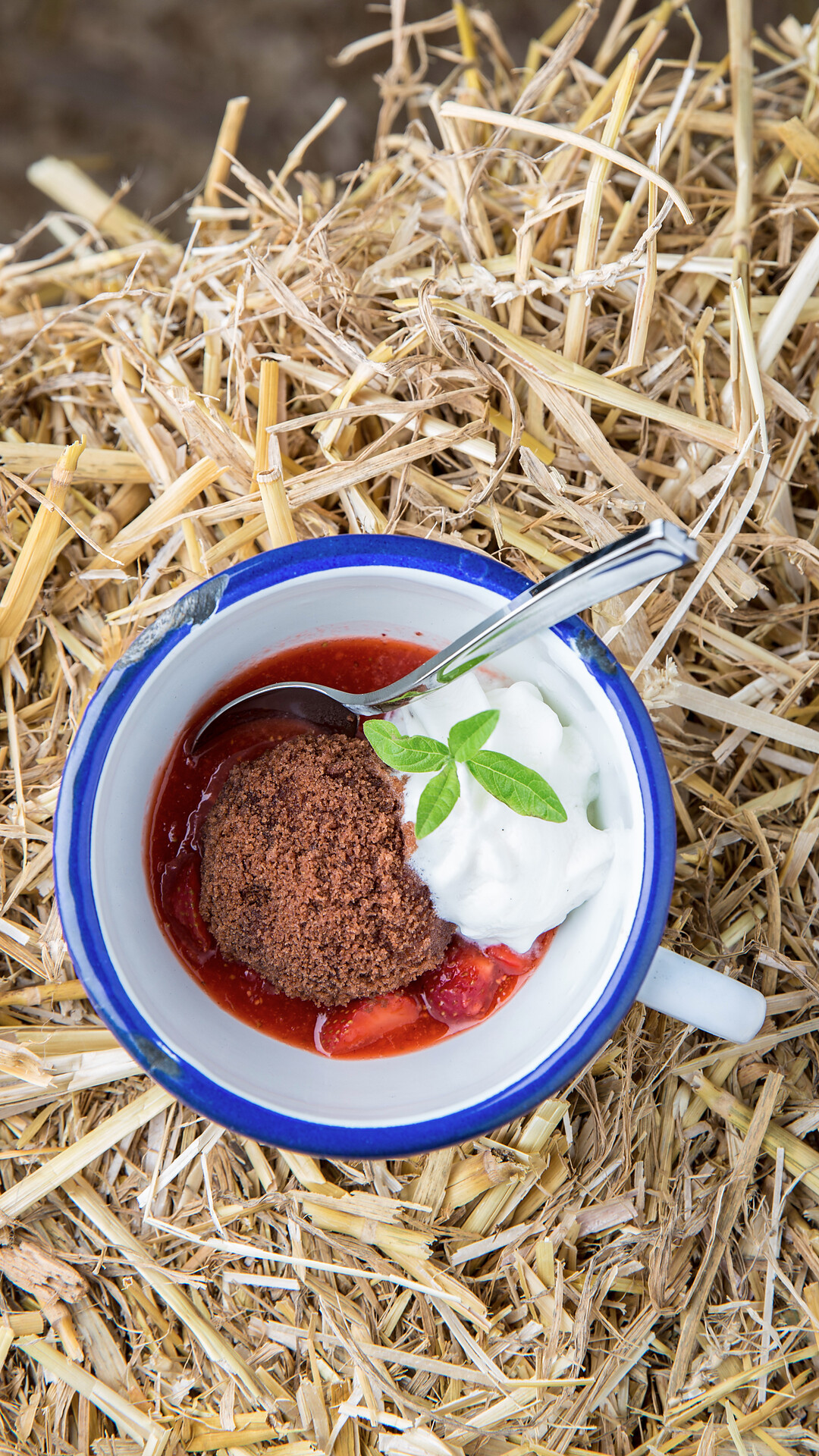 Musica & gusto - Merano e dintorni - #2 - suedtirol.info