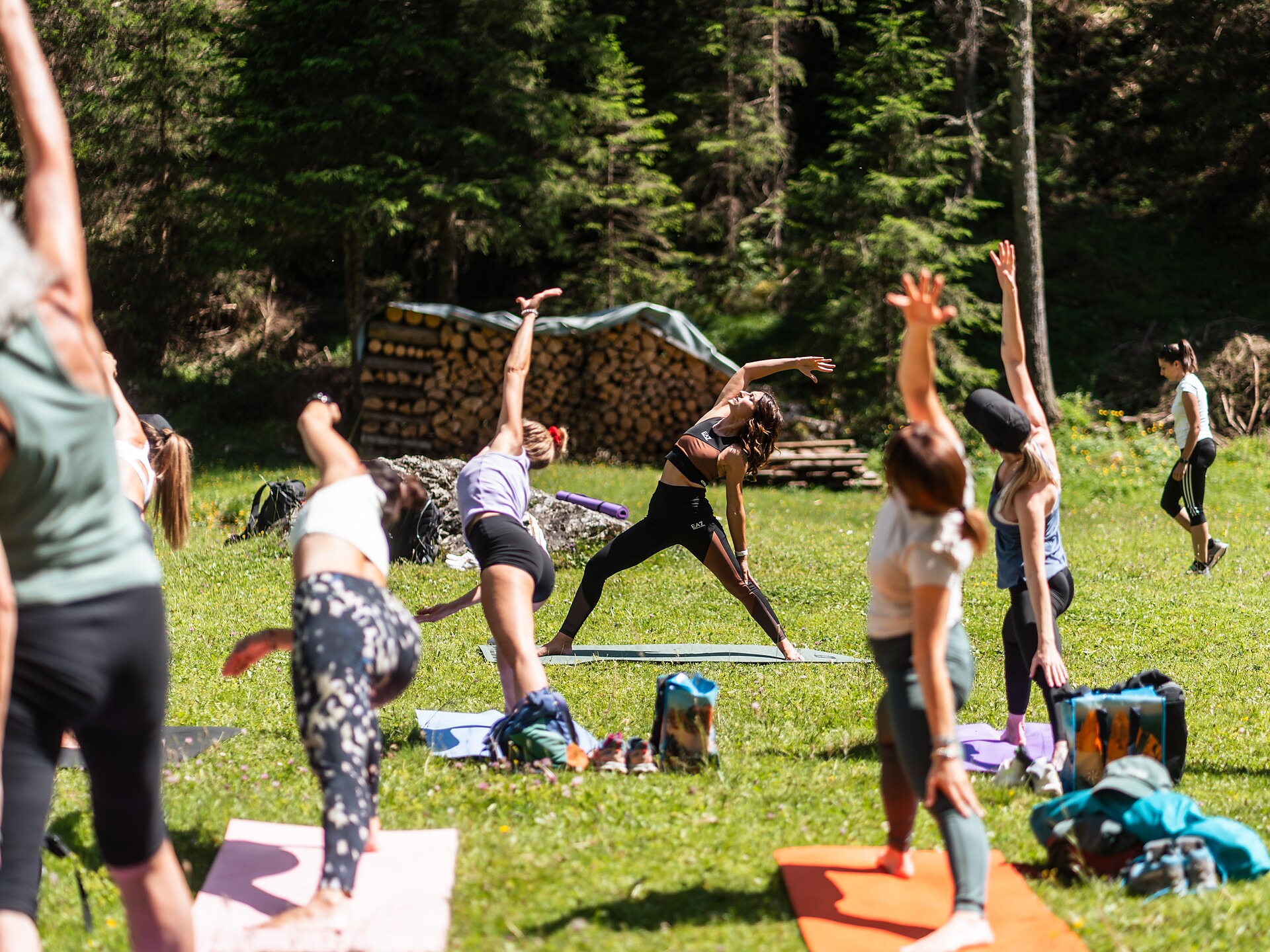 MitiBlum 2026 - Dolomites Region Val Gardena - #1 - suedtirol.info