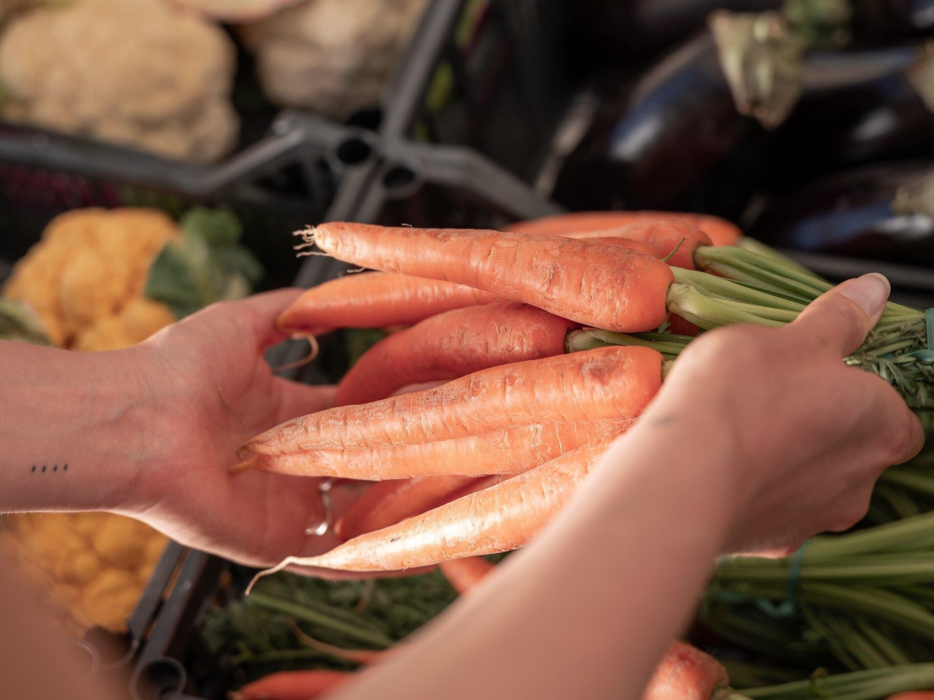 Bauernmarkt in Leifers - Bozen und Umgebung - #1 - suedtirol.info