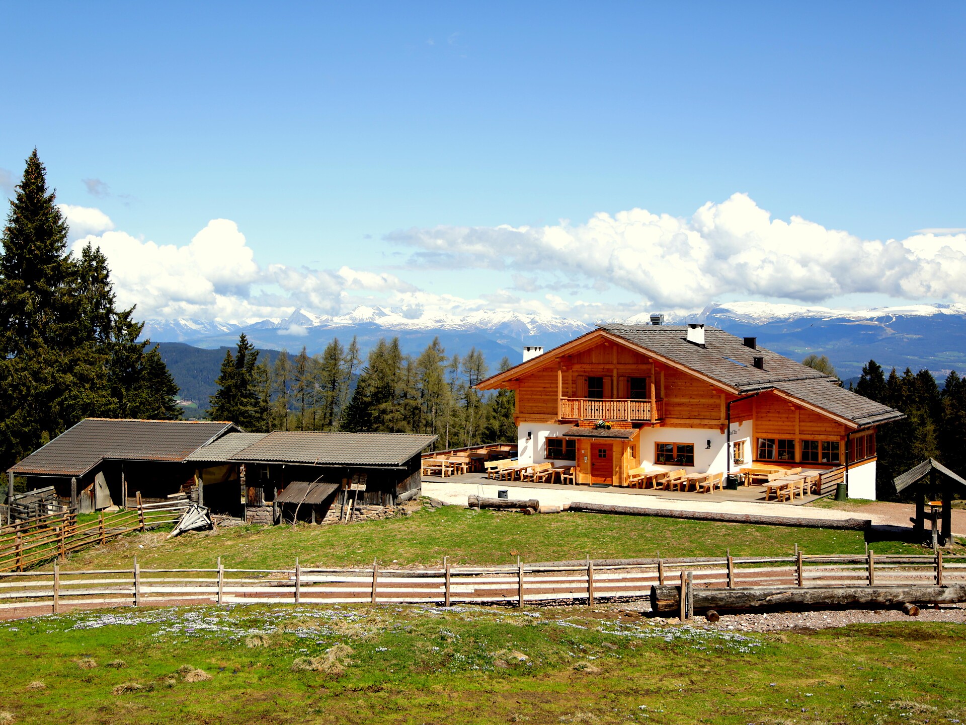 Mercoledì in tour: Giro del Monte Regolo - Pietralba, malga Laab & S. Elena - Regione dolomitica Val d'Ega - #2 - suedtirol.info