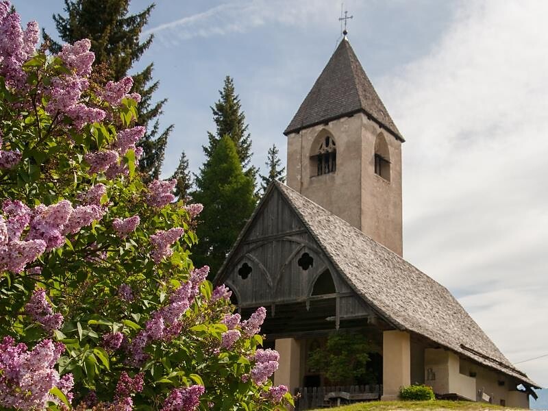 Mercoledì in tour: Giro del Monte Regolo - Pietralba, malga Laab & S. Elena - Regione dolomitica Val d'Ega - #3 - suedtirol.info