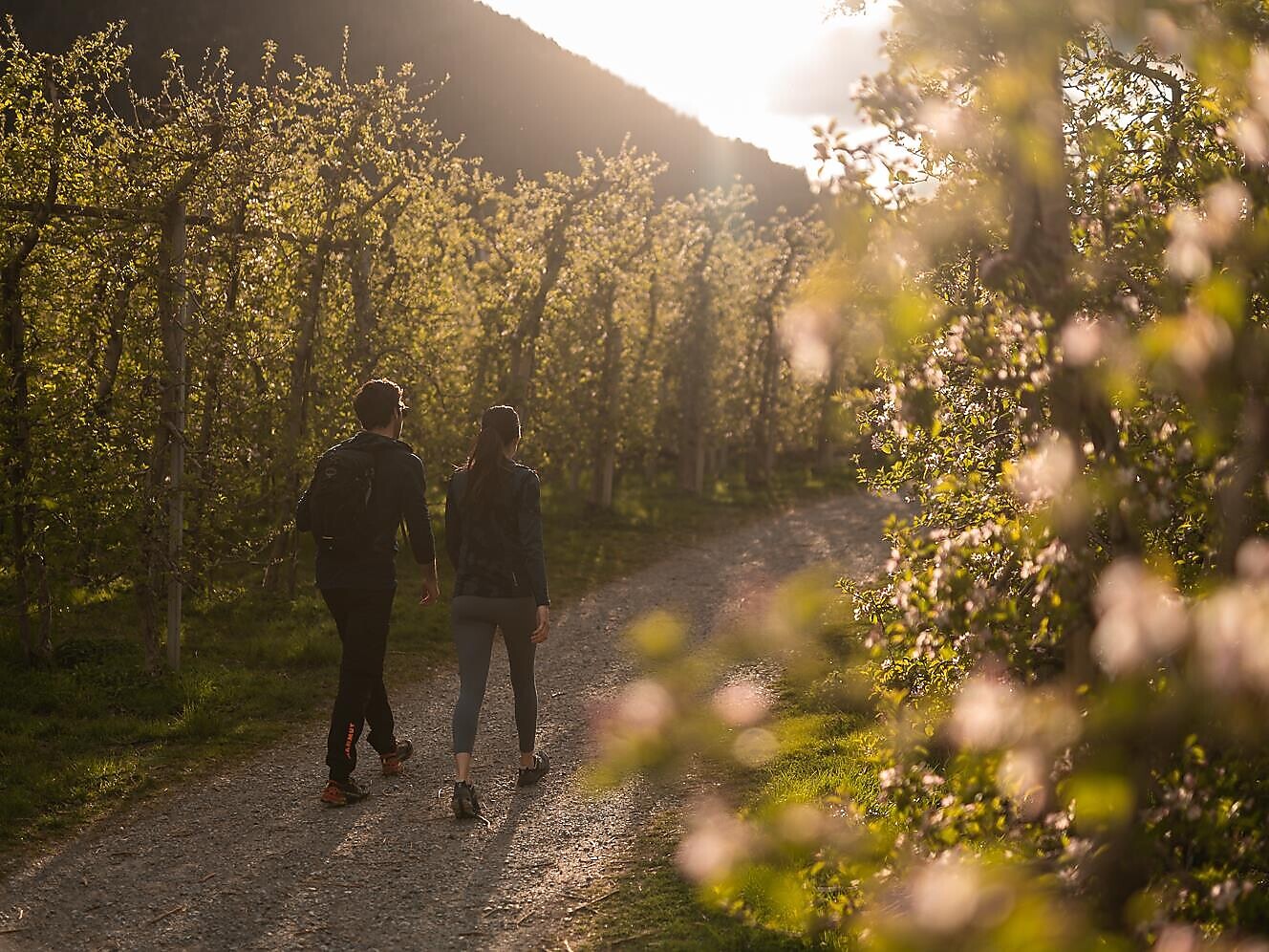 Mit der Bäuerin durch die Obstwiese - Vinschgau - #1 - suedtirol.info