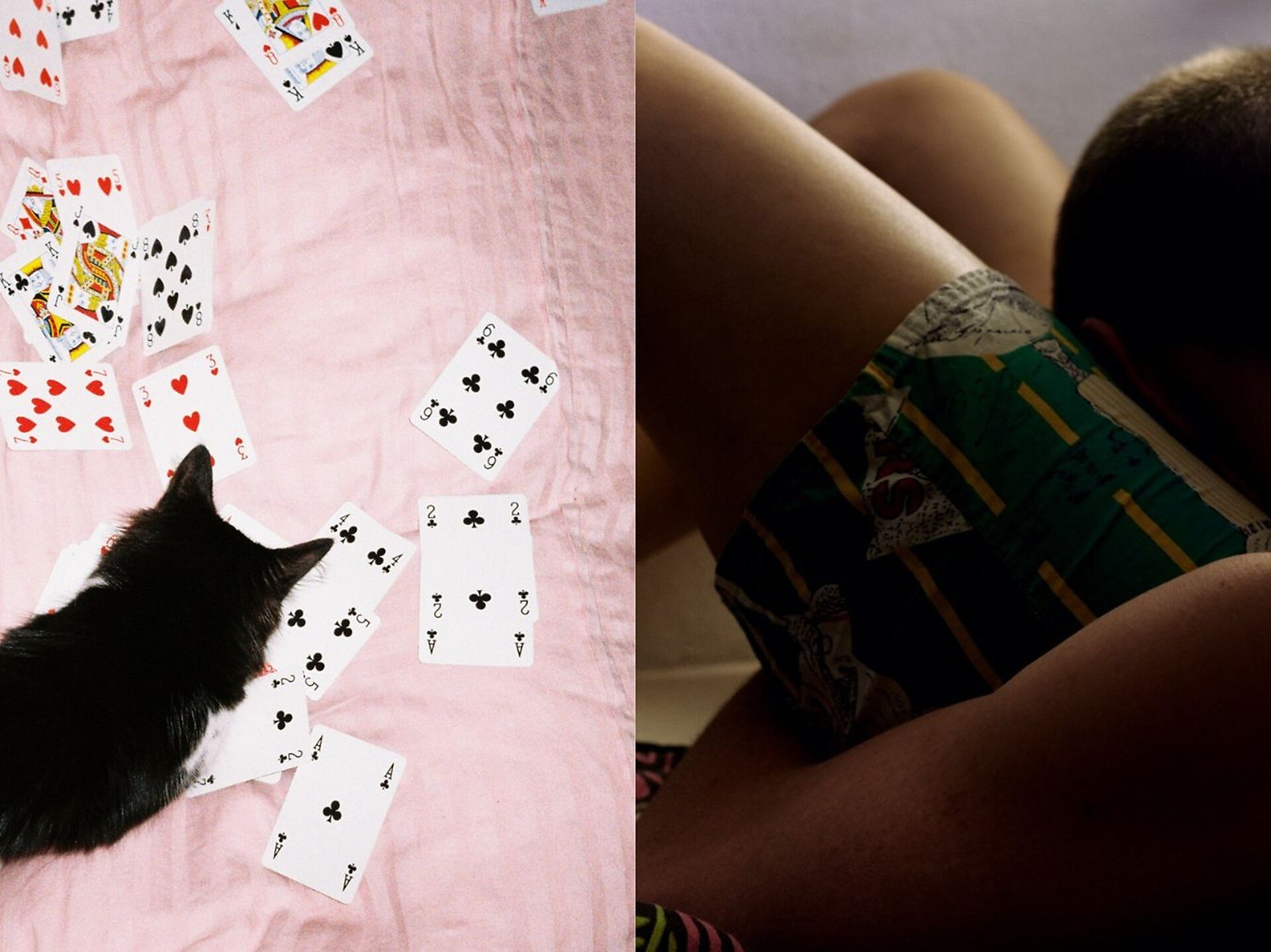 Kunstausstellung "Don't shoot, come in!" - Bozen und Umgebung - #1 - suedtirol.info