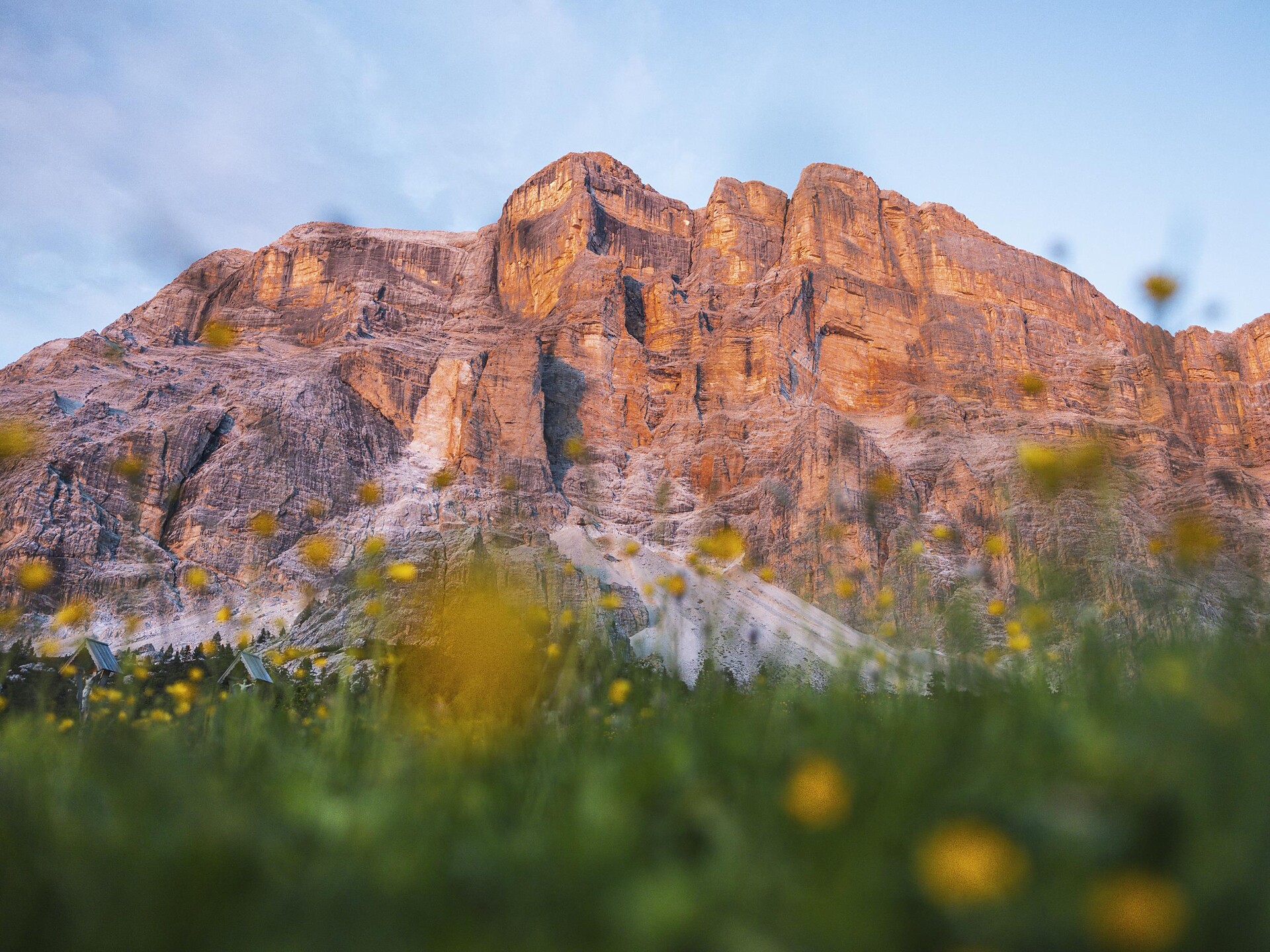 Mostra de corusc a ega - Ausstellung von Aquarellen von Silvia Nava - Dolomitenregion Alta Badia - #1 - suedtirol.info