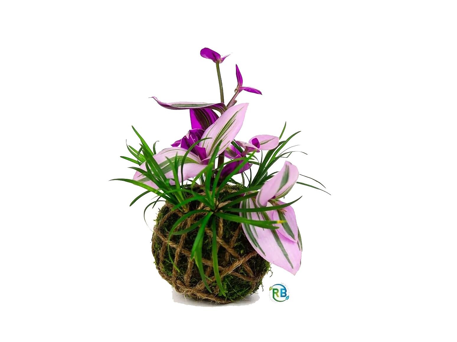 Merano Flower Festival - Workshop Kokedama: crea la tua “sfera di muschio” - Merano e dintorni - #1 - suedtirol.info