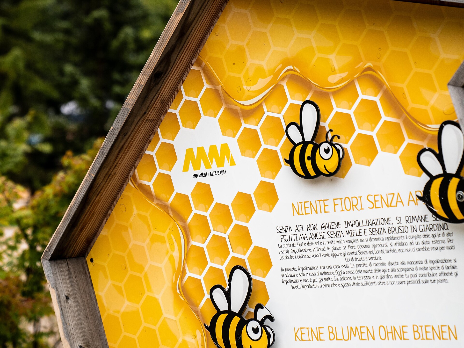 Movimënt dles ês - The fantastic area dedicated to the world of bees - Dolomites Region Alta Badia - #3 - suedtirol.info