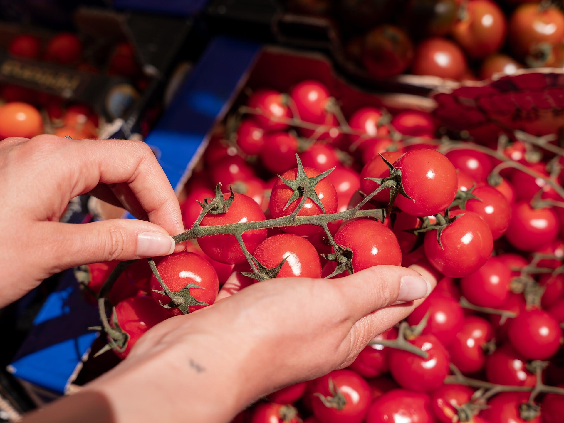 Mercatino contadino a San Giacomo - Bolzano e dintorni - #1 - suedtirol.info