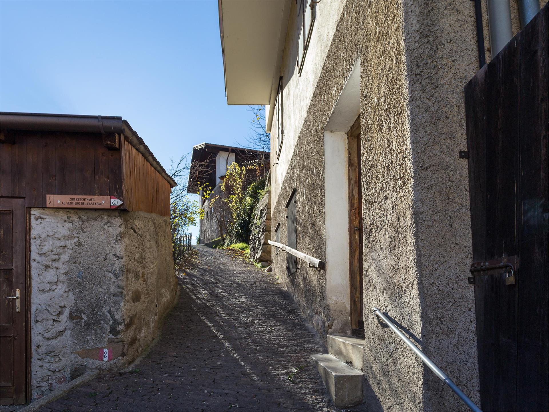 "Montags-Feschtl" - Festival in Colma/Kollmann - 26/08/2024 - Brixen/Bressanone and environs - #2 - suedtirol.info
