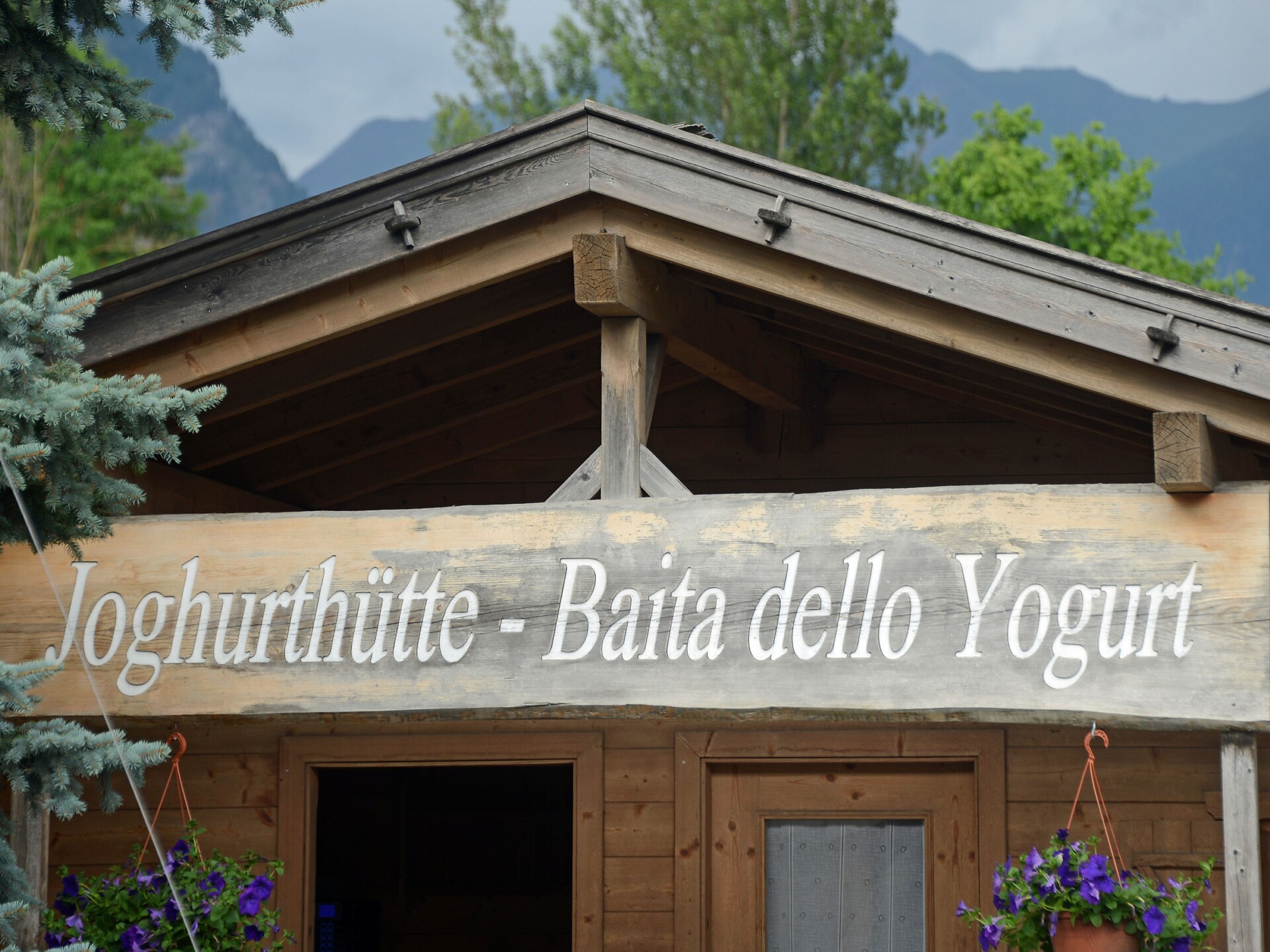 Latteria Vipiteno - Yogurt tasting - Sterzing/Vipiteno and environs - #3 - suedtirol.info