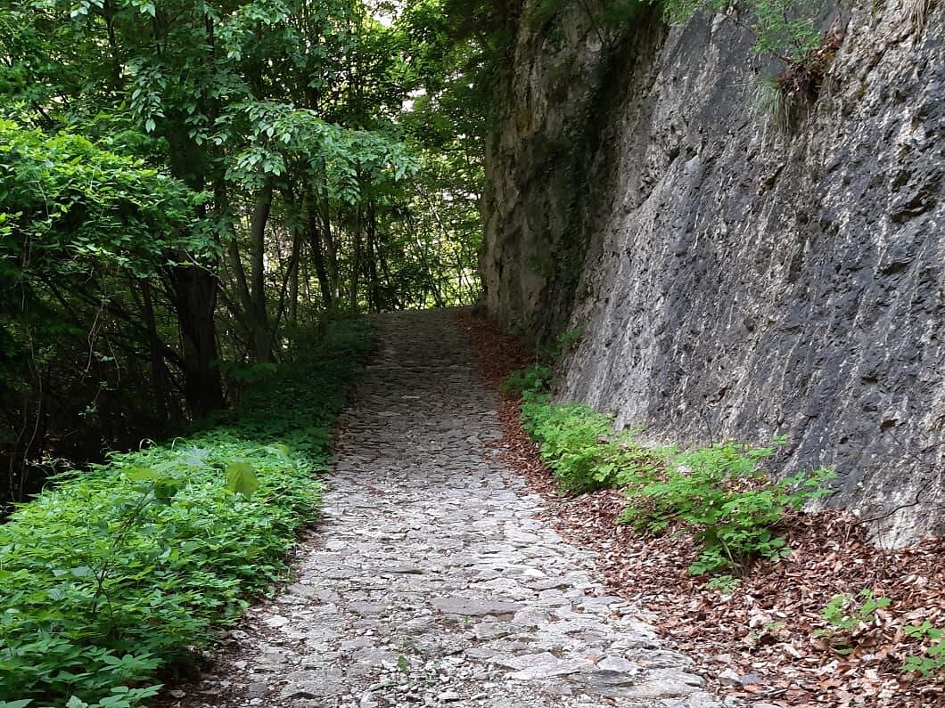 Mercoledì in tour: Salorno - il sentiero di Dürer - Regione dolomitica Val d'Ega - #3 - suedtirol.info