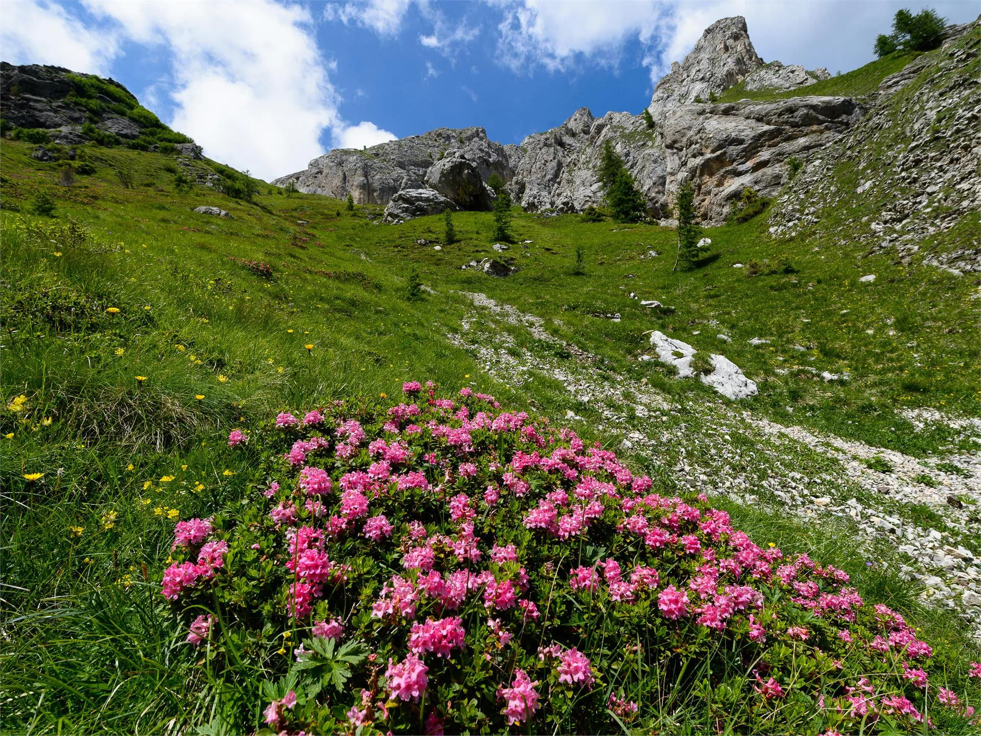 Presentazione multivisione Nova Ponente 2 suedtirol.info