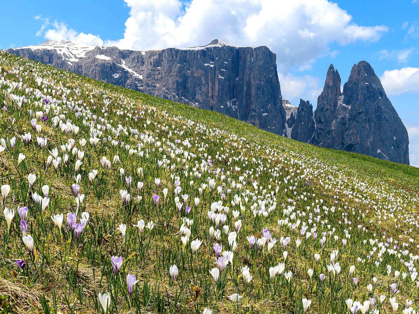 Schlern-Rosengarten Nature Park: Multivision with Valentin Pardeller - Dolomites Region Eggental - #2 - suedtirol.info