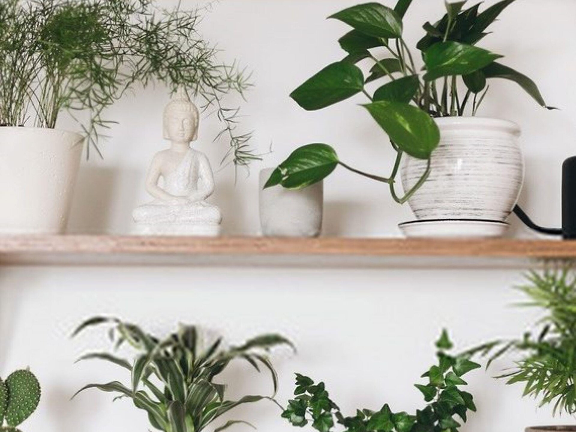 Merano Flower Festival - Green Feng Shui: Informationsveranstaltung - Meran und Umgebung - #1 - suedtirol.info