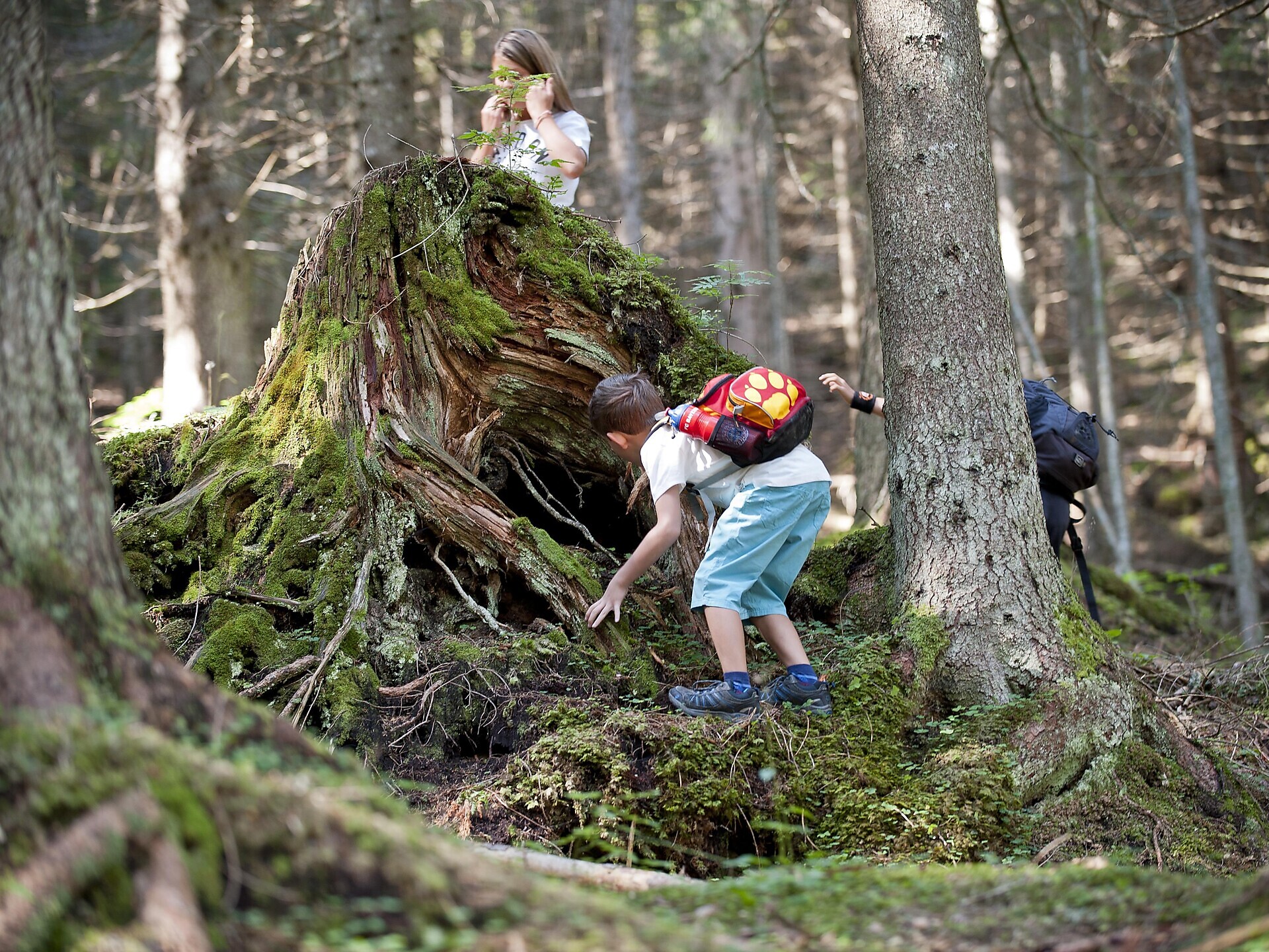 Missione Avventura nel bosco - La tua sfida in famiglia nella Val d'Ega - Regione dolomitica Val d'Ega - #1 - suedtirol.info