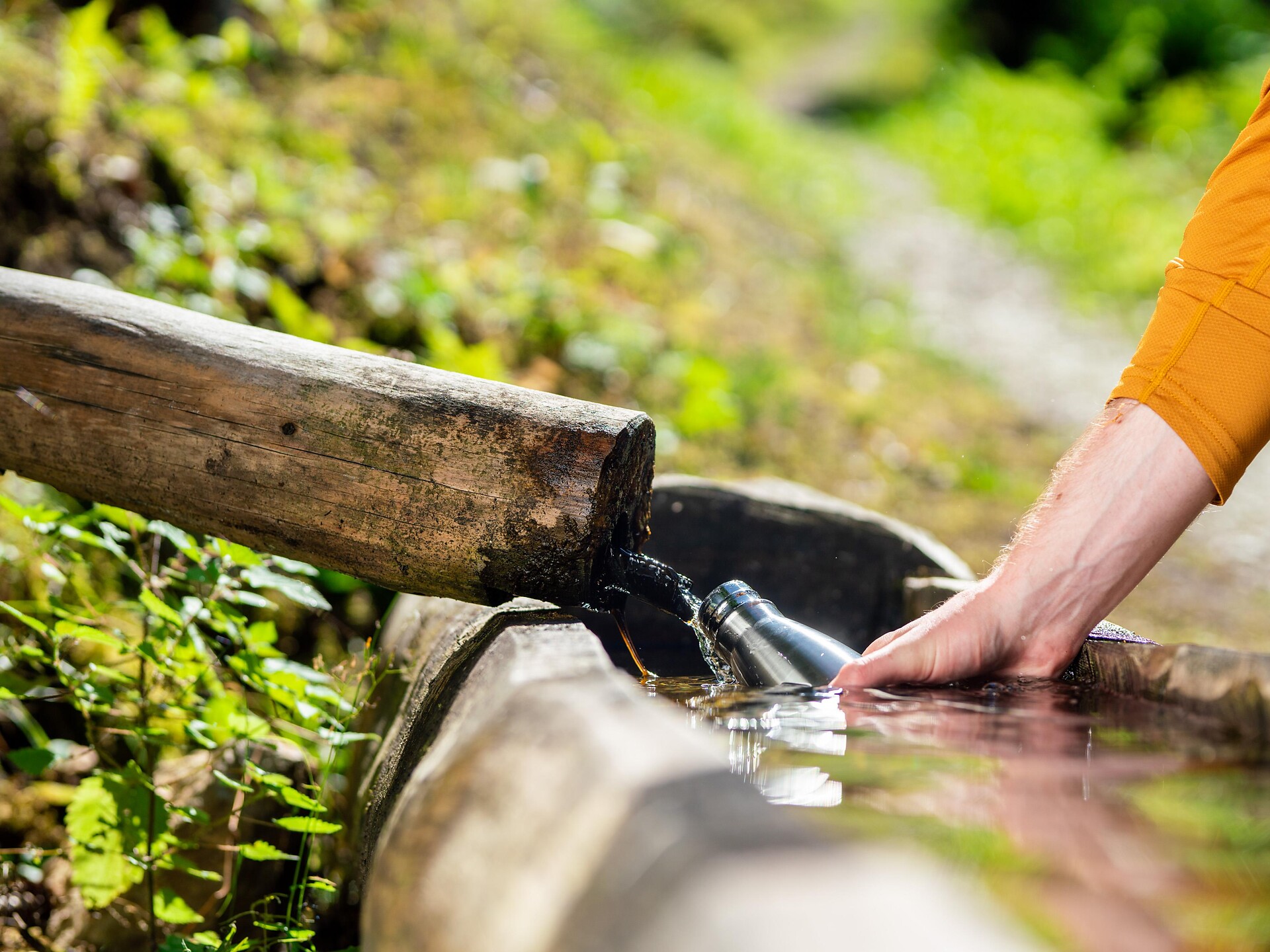 Mediativ unterwegs am Lichtenberger Berg - WasserTag - Vinschgau - #1 - suedtirol.info
