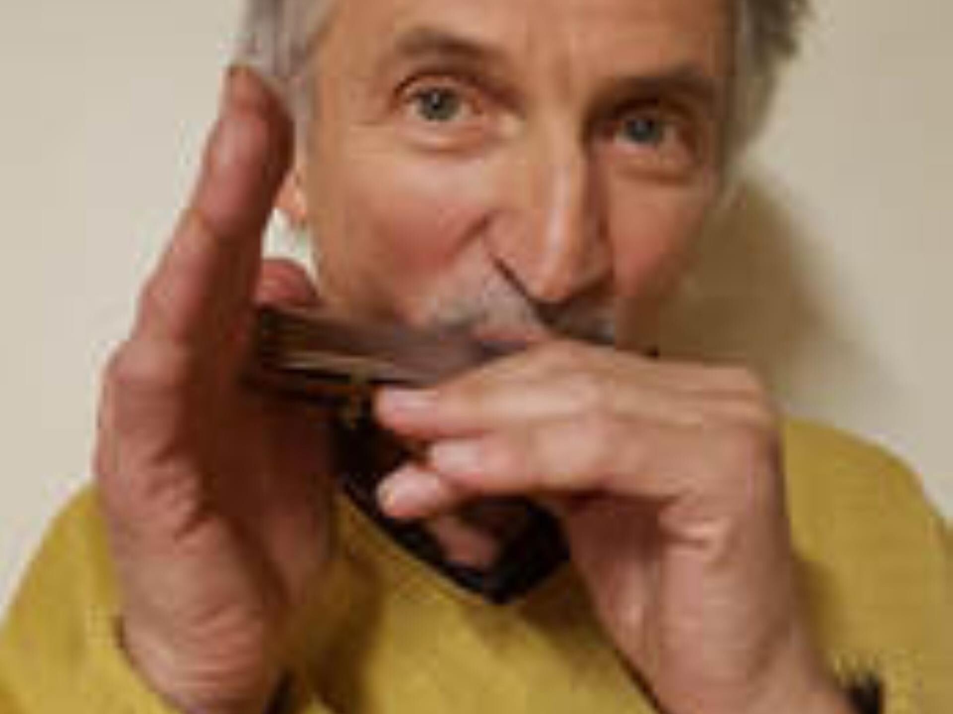 Concerto di armonica - Bressanone e dintorni - #2 - suedtirol.info