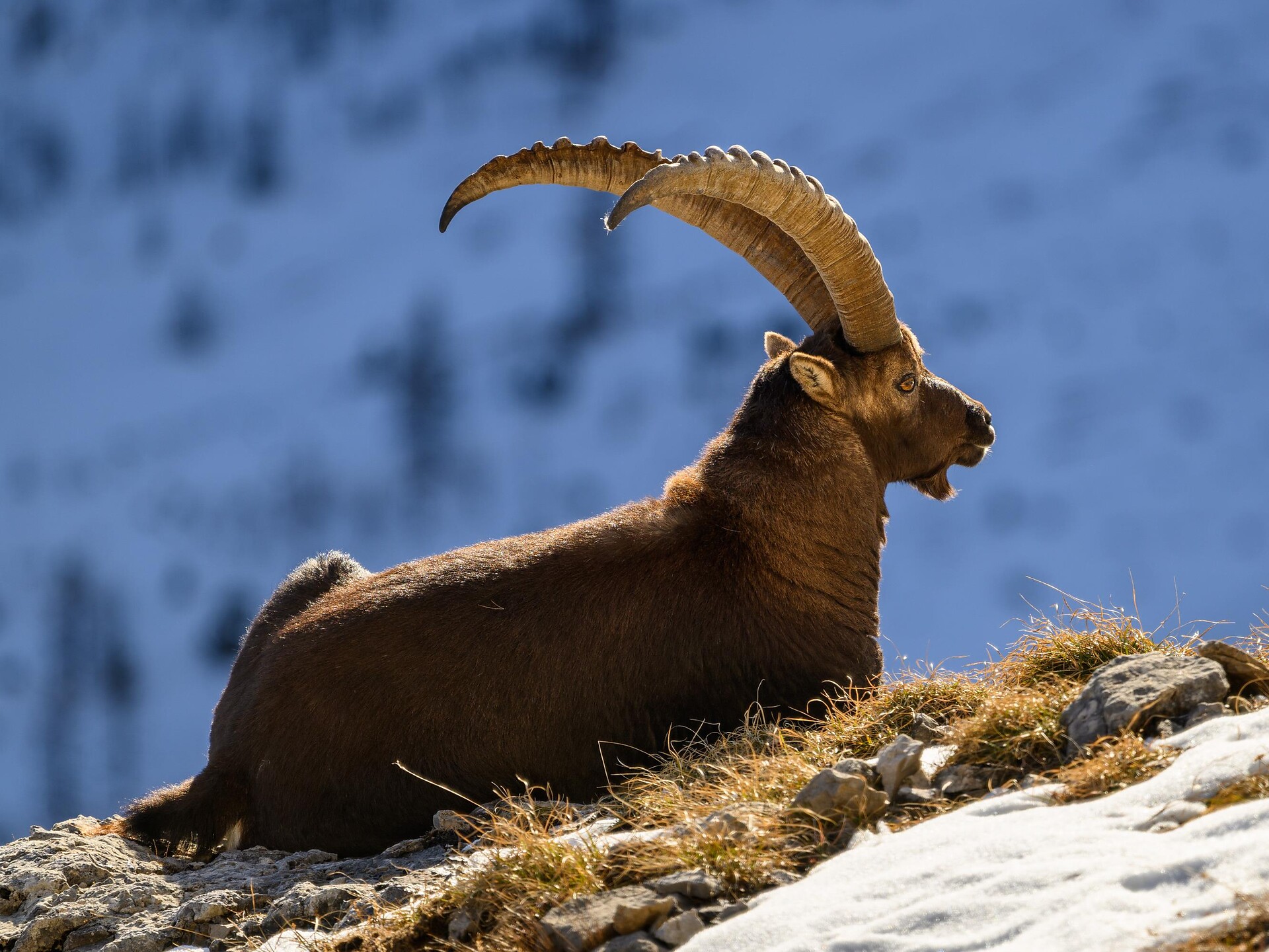 DOLOMITEN - UNESCO Welterbe: Multivision mit Valentin Pardeller - Dolomitenregion Eggental - #2 - suedtirol.info