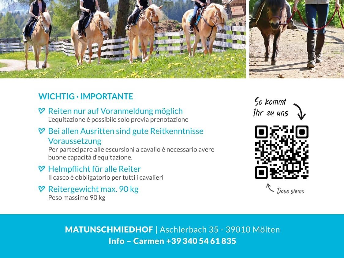 Matunschmied with ♥ and passion - riding centre - Bolzano/Bozen and environs - #2 - suedtirol.info