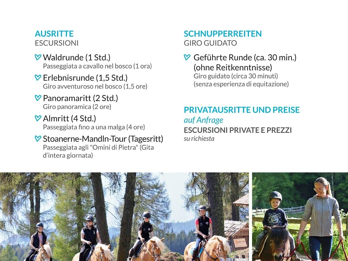 Matunschmied with ♥ and passion - riding centre - Bolzano/Bozen and environs - #1 - suedtirol.info