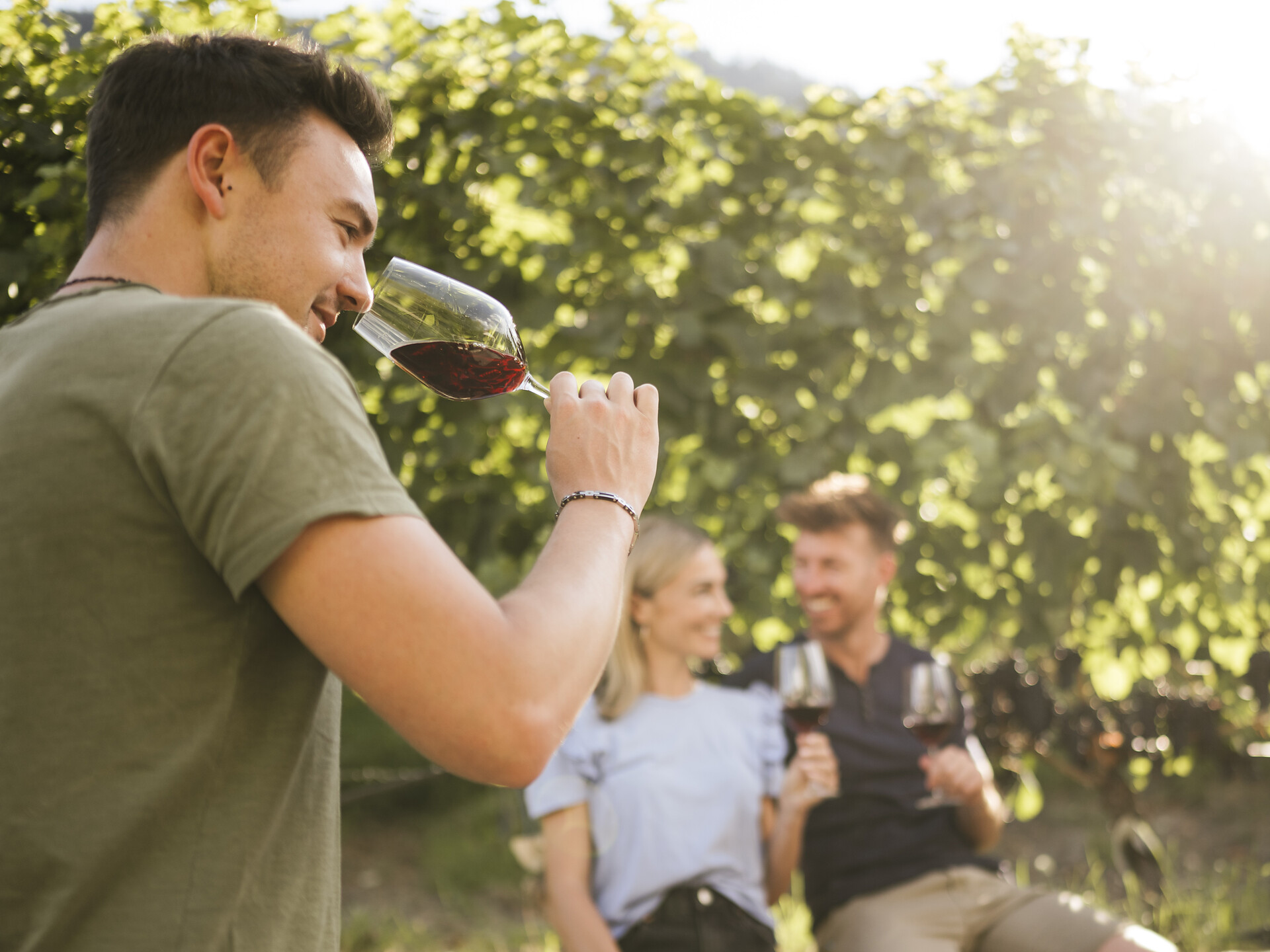 Marlings WWW – Water, Wine and Waalweg Trail - Meran/Merano and environs - #1 - suedtirol.info