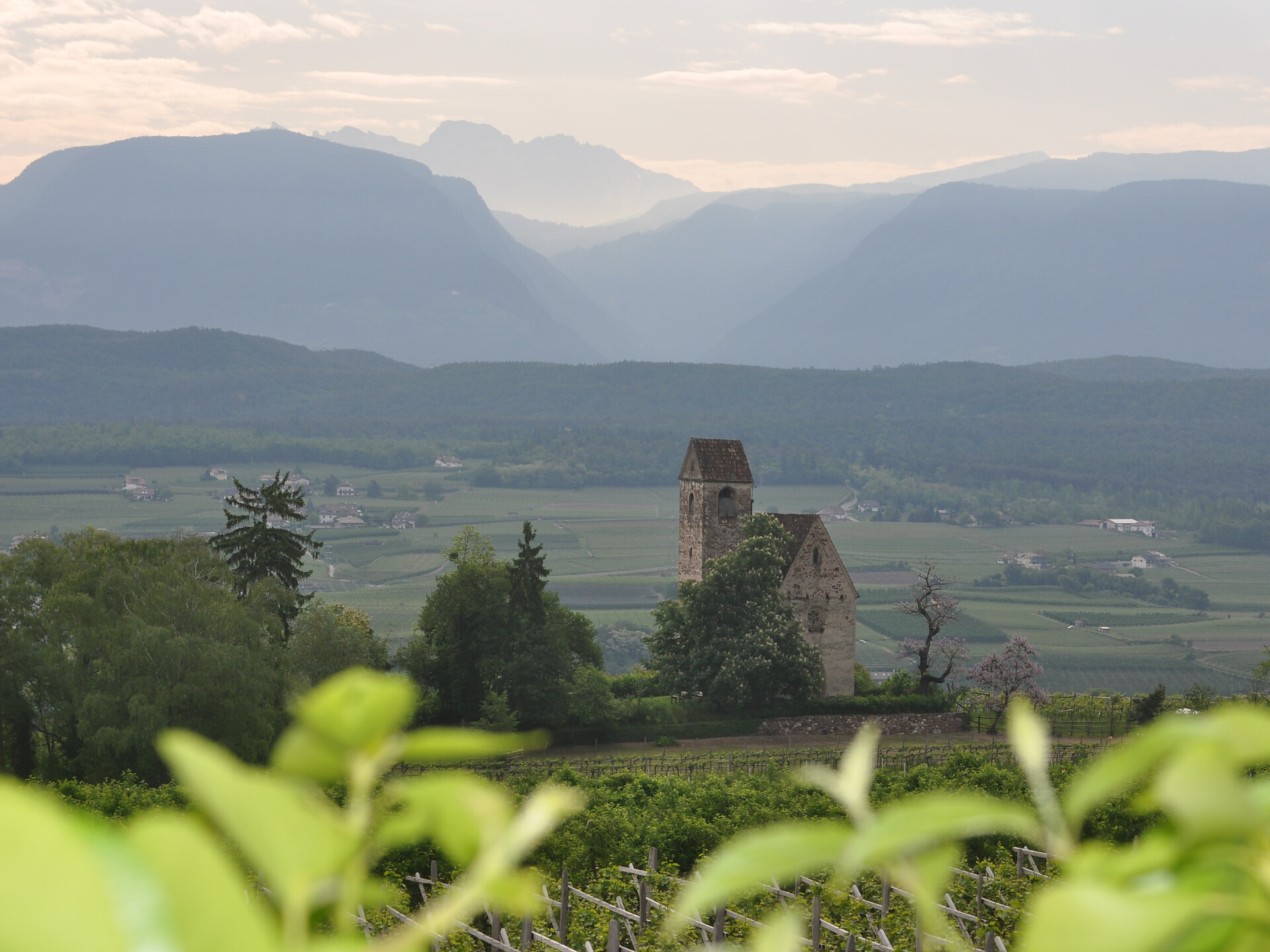 Brunch per la Festa della Mamma - Strada del Vino - #1 - suedtirol.info