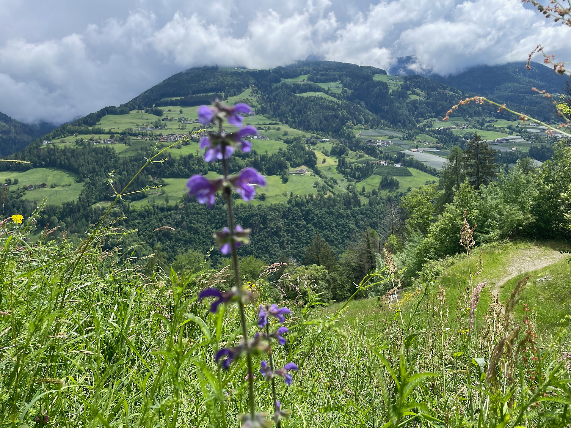 Mittwochs auf Tour: Riffianer Waalweg - Dolomitenregion Eggental - #2 - suedtirol.info