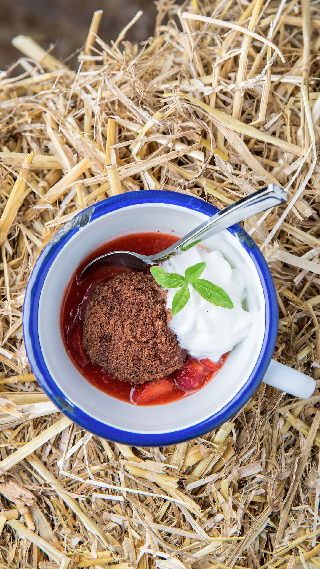 Musica & gusto - Merano e dintorni - #3 - suedtirol.info