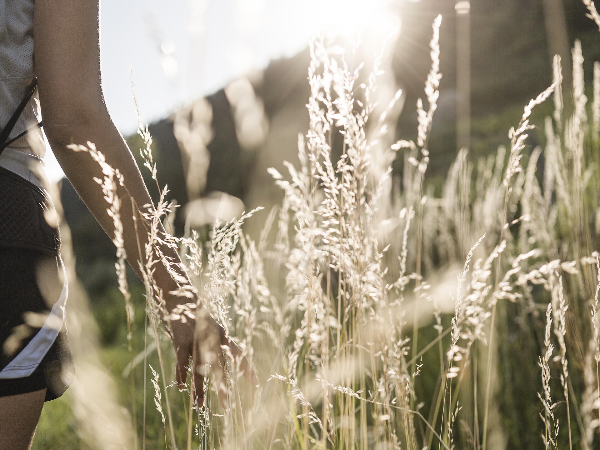 Luoghi magici nei Boschi di Lagundo - Merano e dintorni - #3 - suedtirol.info