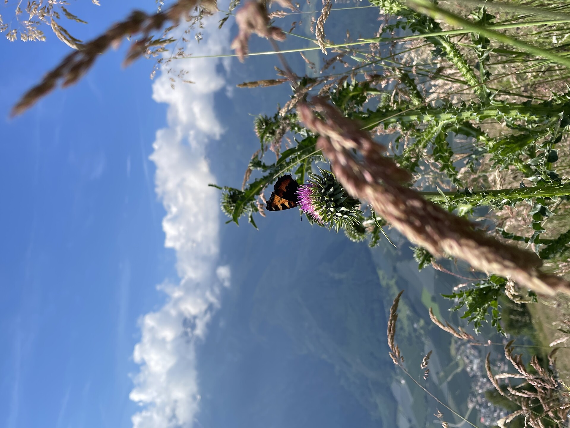 Mittwochs auf Tour: Meraner Höhenweg - Dolomitenregion Eggental - #1 - suedtirol.info