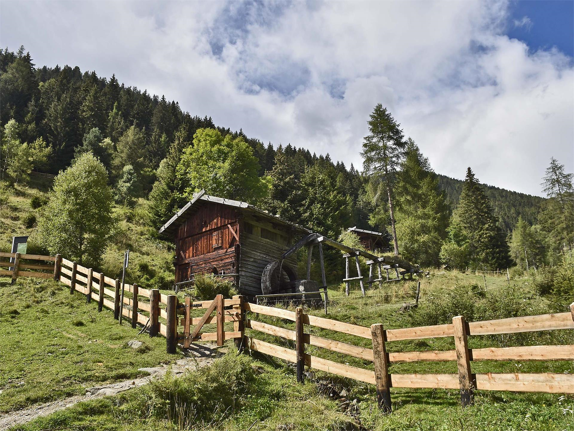 Mühlenbesichtigung in Terenten - Brixen und Umgebung - #1 - suedtirol.info